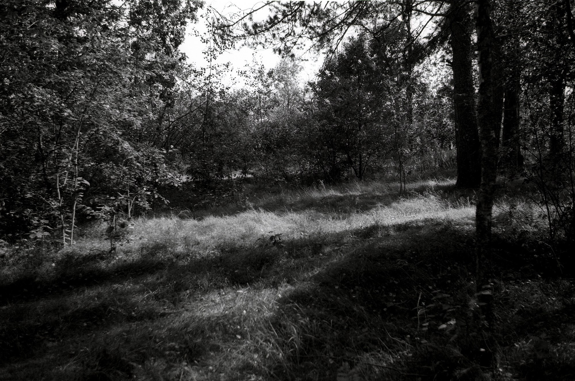 Природа. Другой Павел Поцелуев. Фотограф в 2025 году