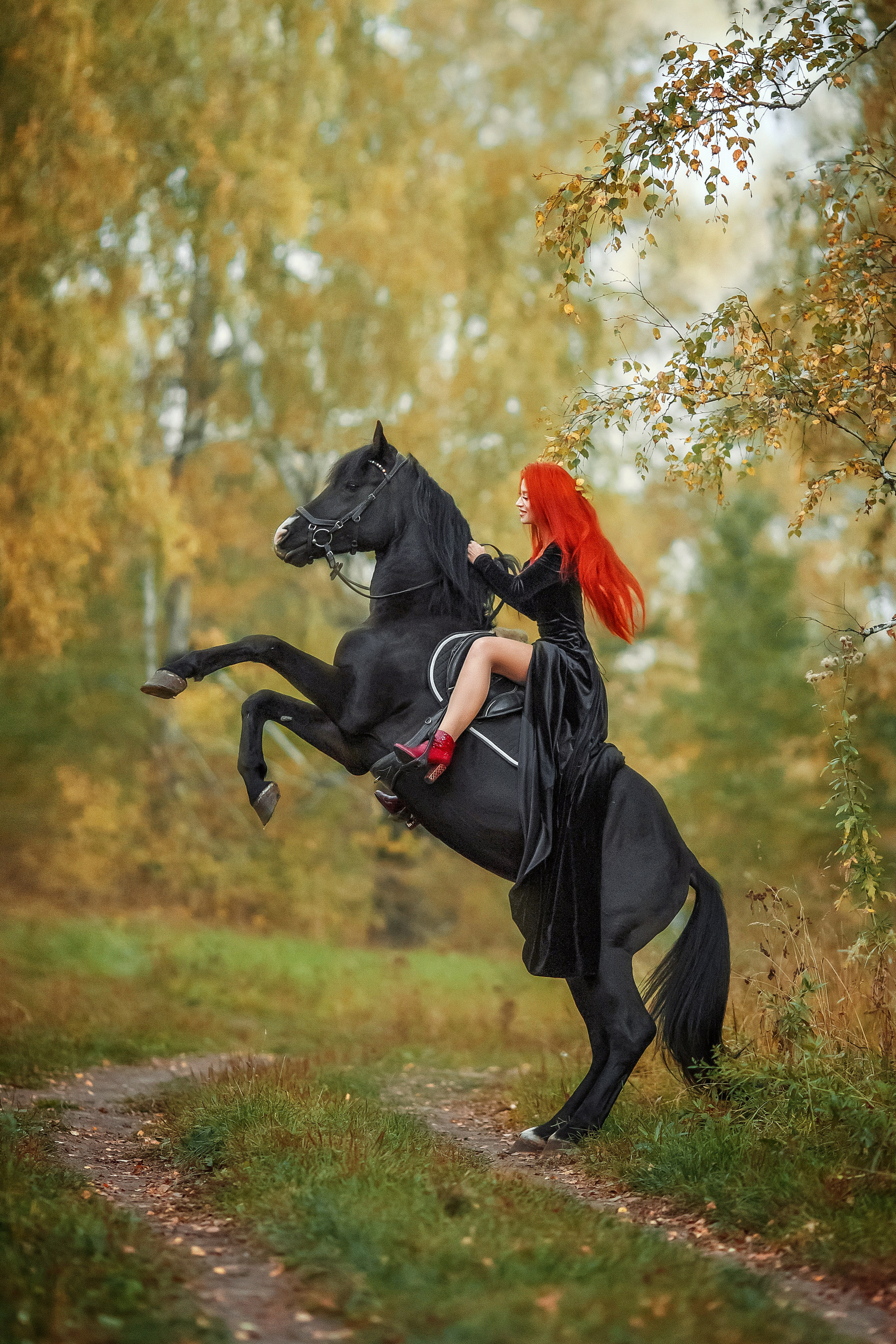 С конем. Сказочный фотограф фотопроекты фототуры в Новосибирске и на Алтае