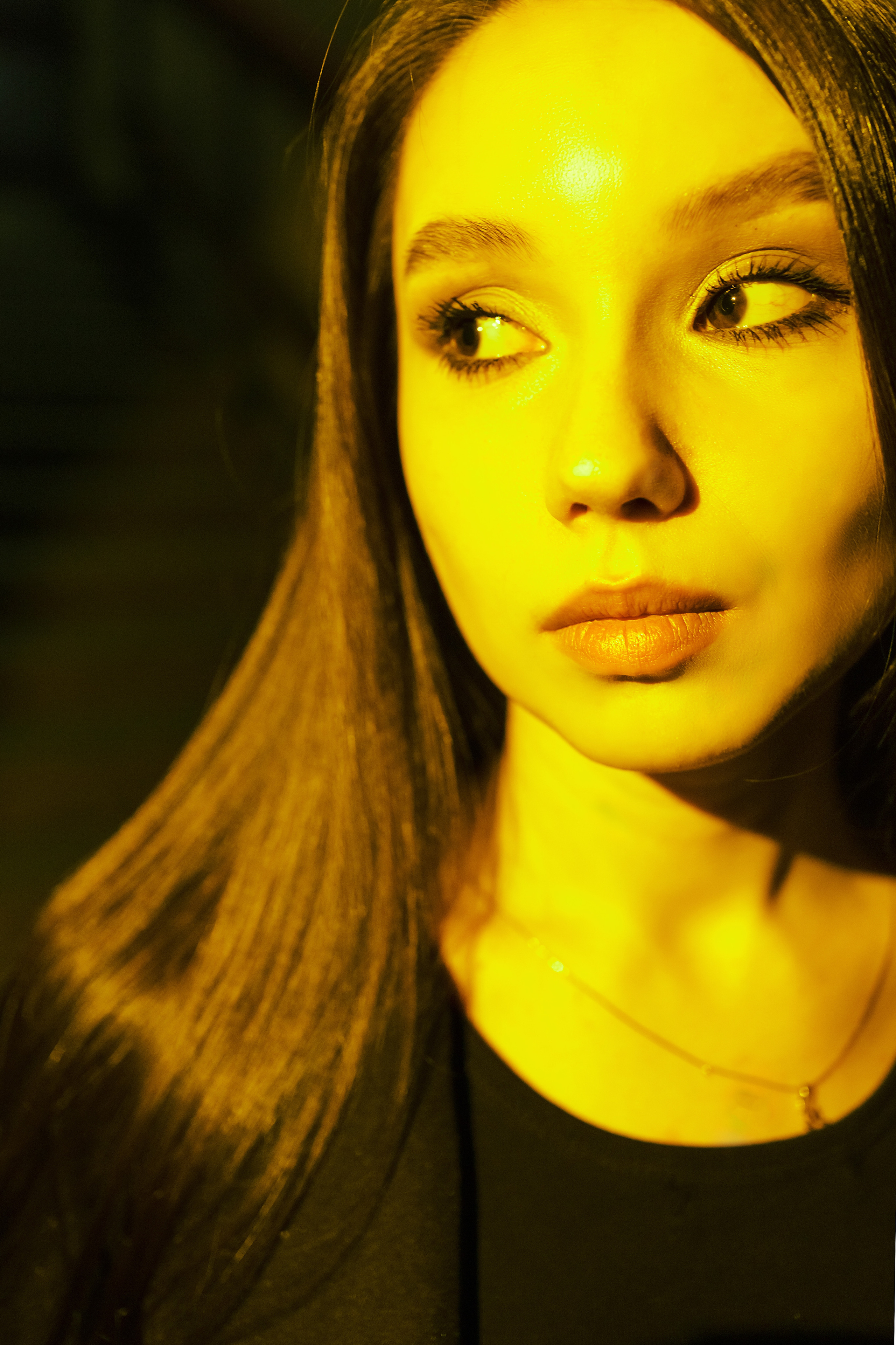 КАТИНЫ ЦВЕТНЫЕ КАРТИНКИ. Фотограф Бодров Александр Нижний Новгород