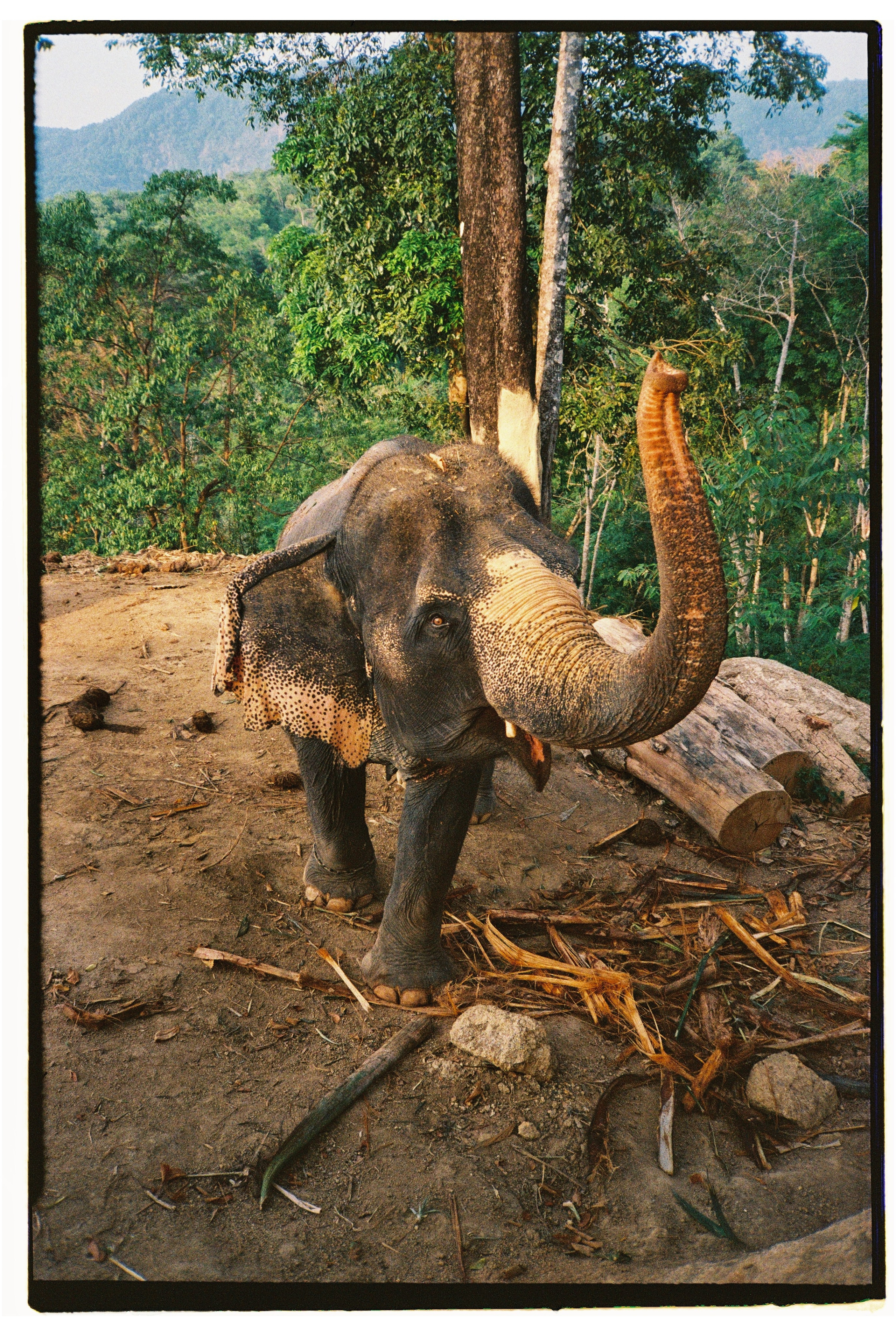 Таиланд. Портретный и репортажный фотограф в Санкт-Петербурге Дарья Сибирякова