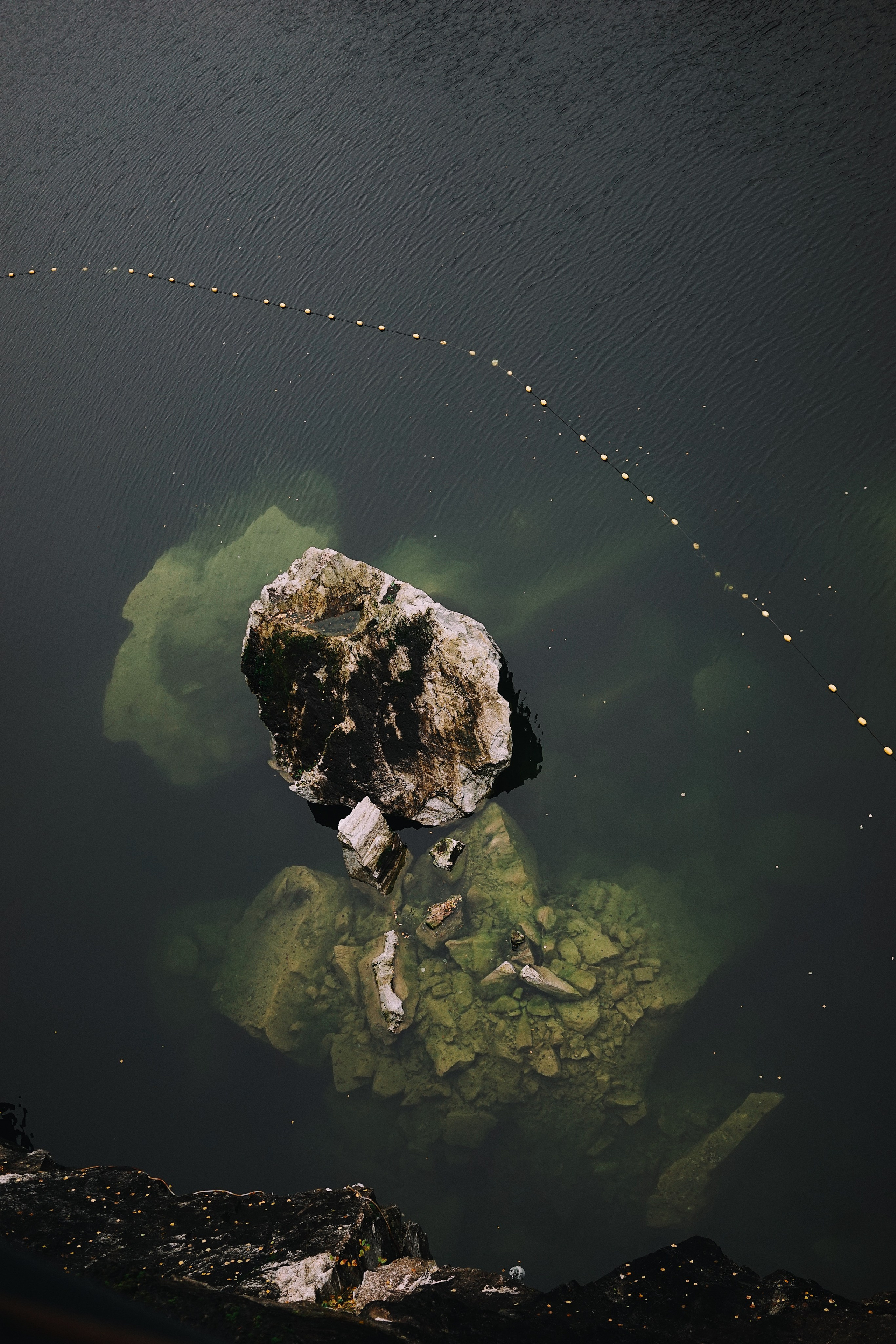 Nature. Ксения Копна. Фотограф из Санкт-Петербурга