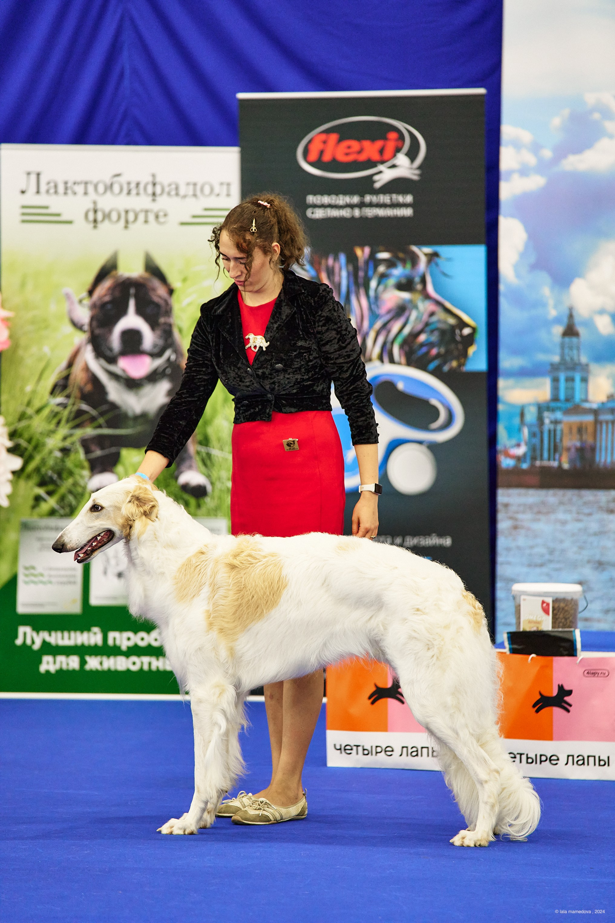 21.07.2024 | «БАЛТИК-ШОУ-2-2024»