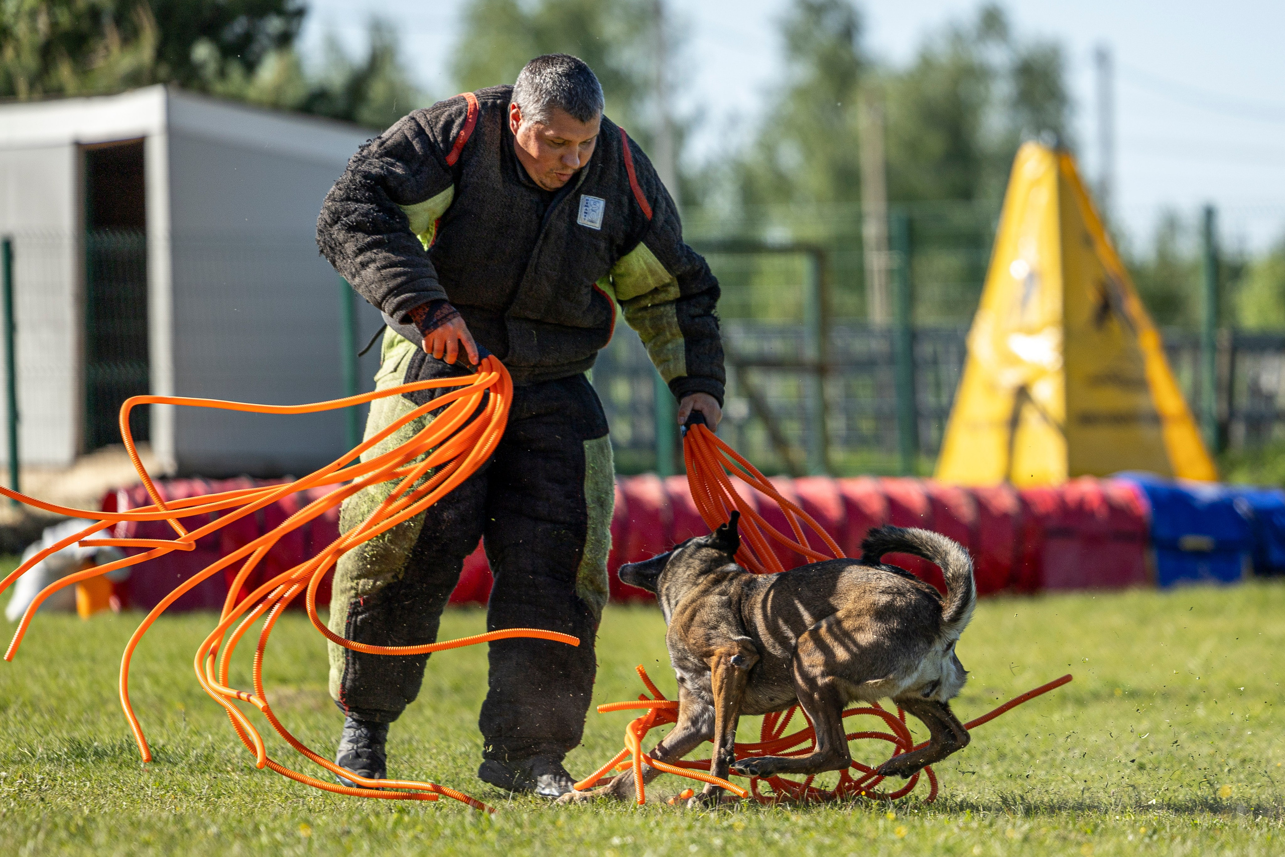 Испытания по мондьорингу в Нижнем Новгороде. Фотограф-анималист Анна Маринич