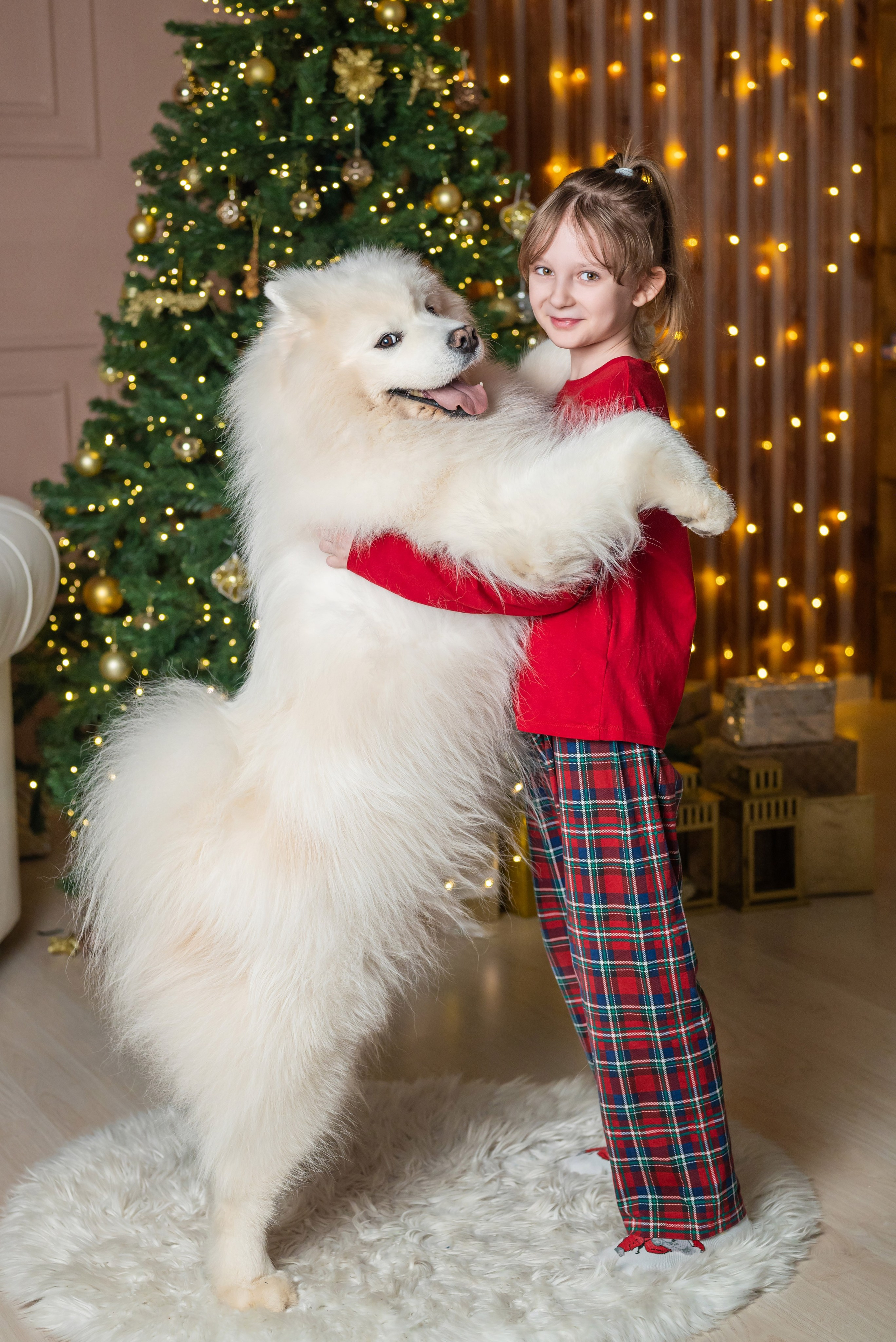 Фотопроект с самоедом 2023 г. Фотограф в городе Салават