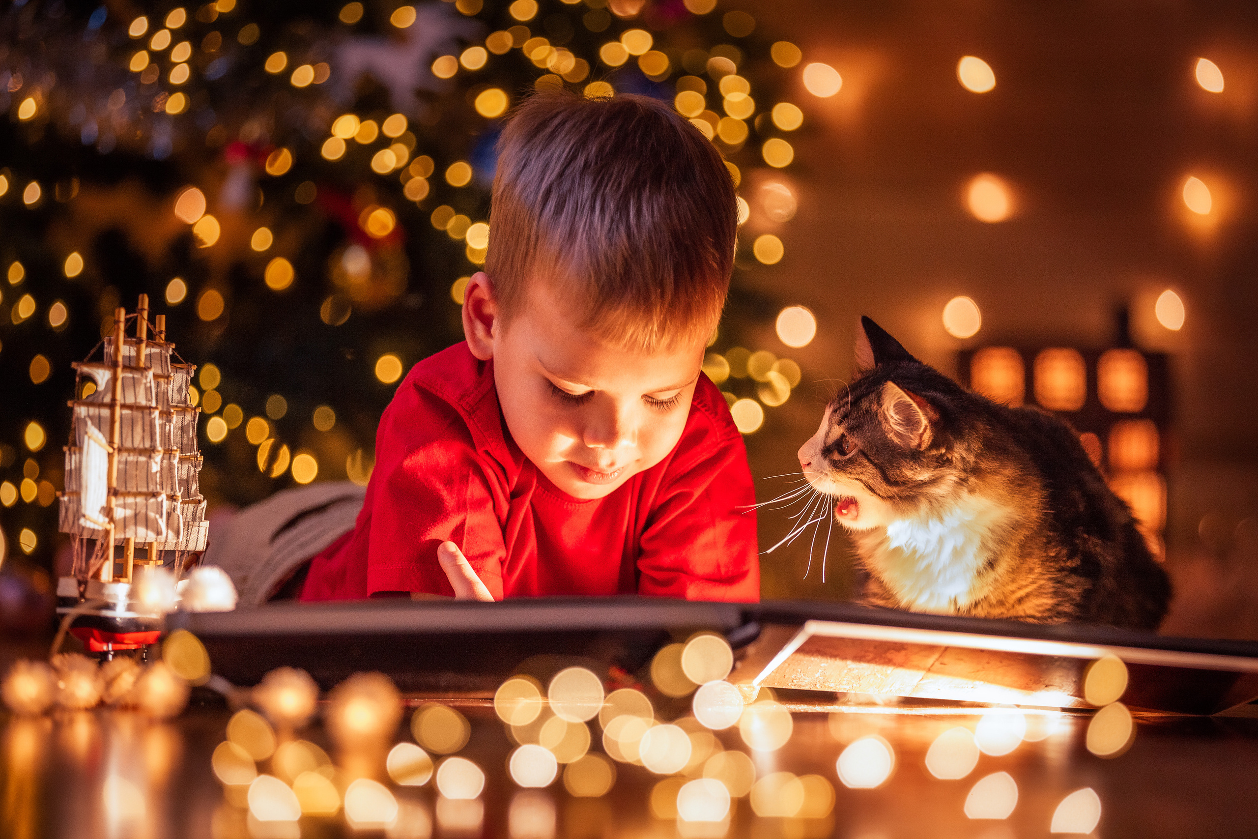 Детский семейный фотограф в городе Кирове Татьяна Кучербаева