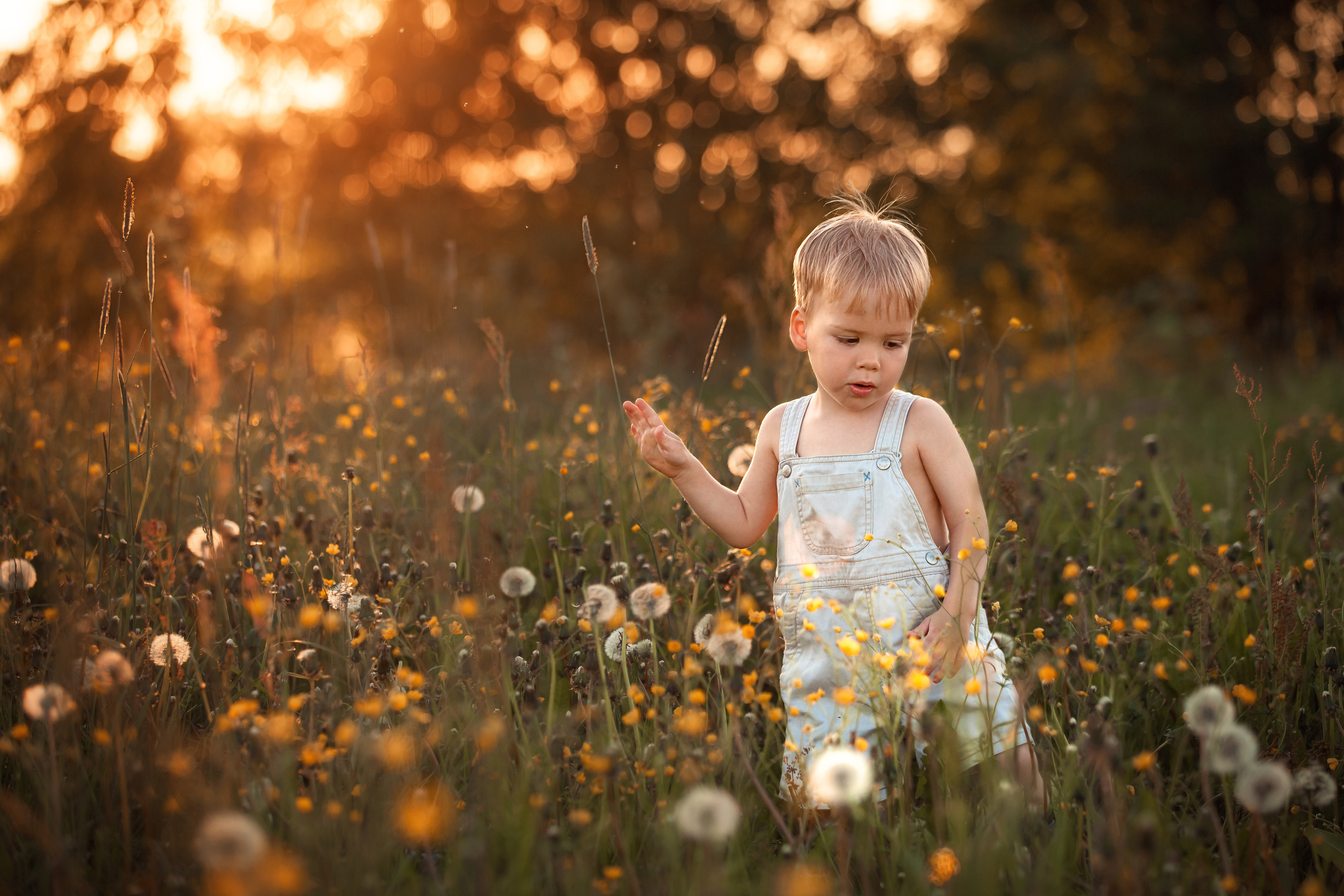 Семейные фотоистории. Детский семейный фотограф в городе Кирове Татьяна Кучербаева