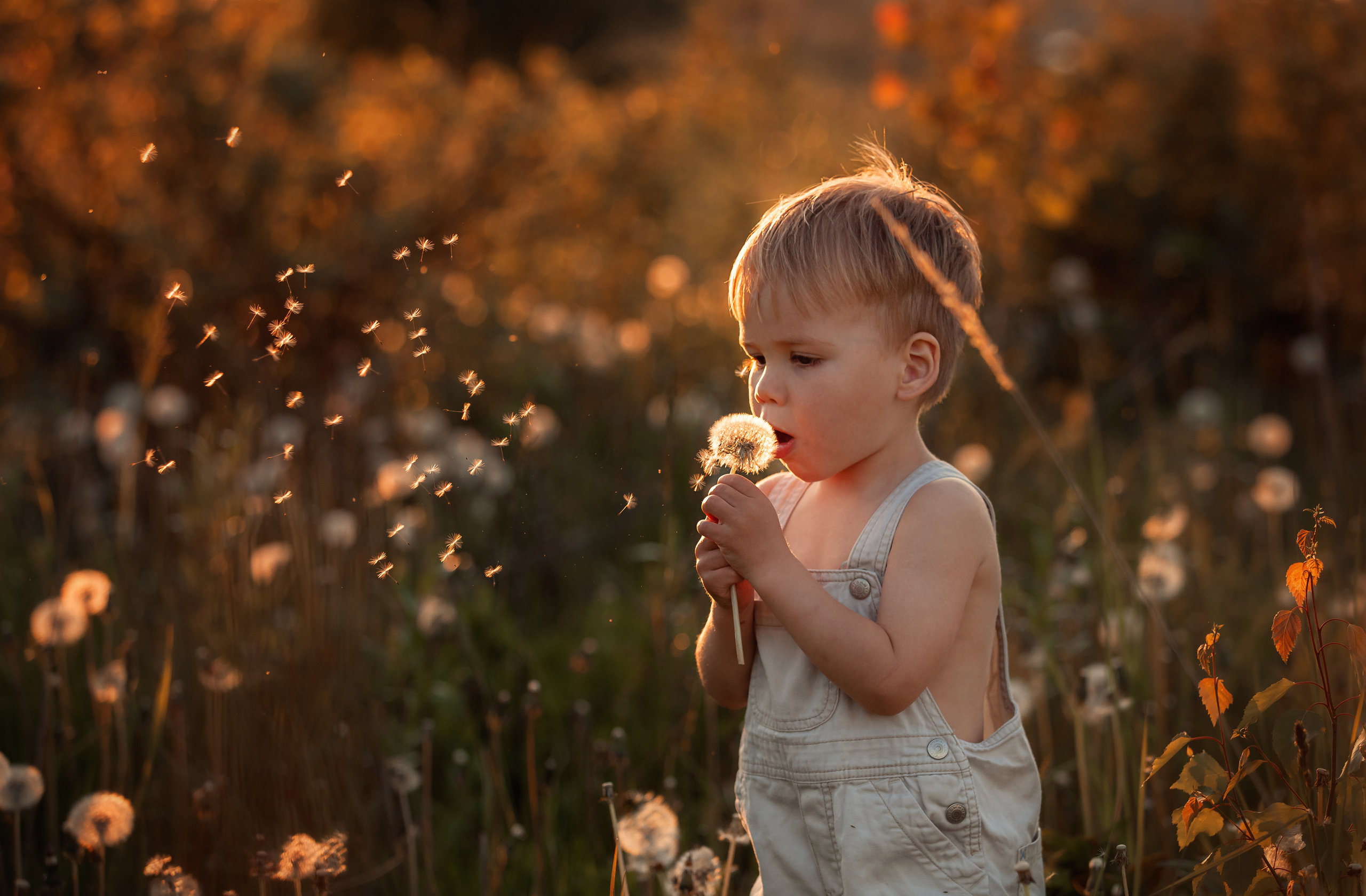 Семейные фотоистории. Детский семейный фотограф в городе Кирове Татьяна Кучербаева