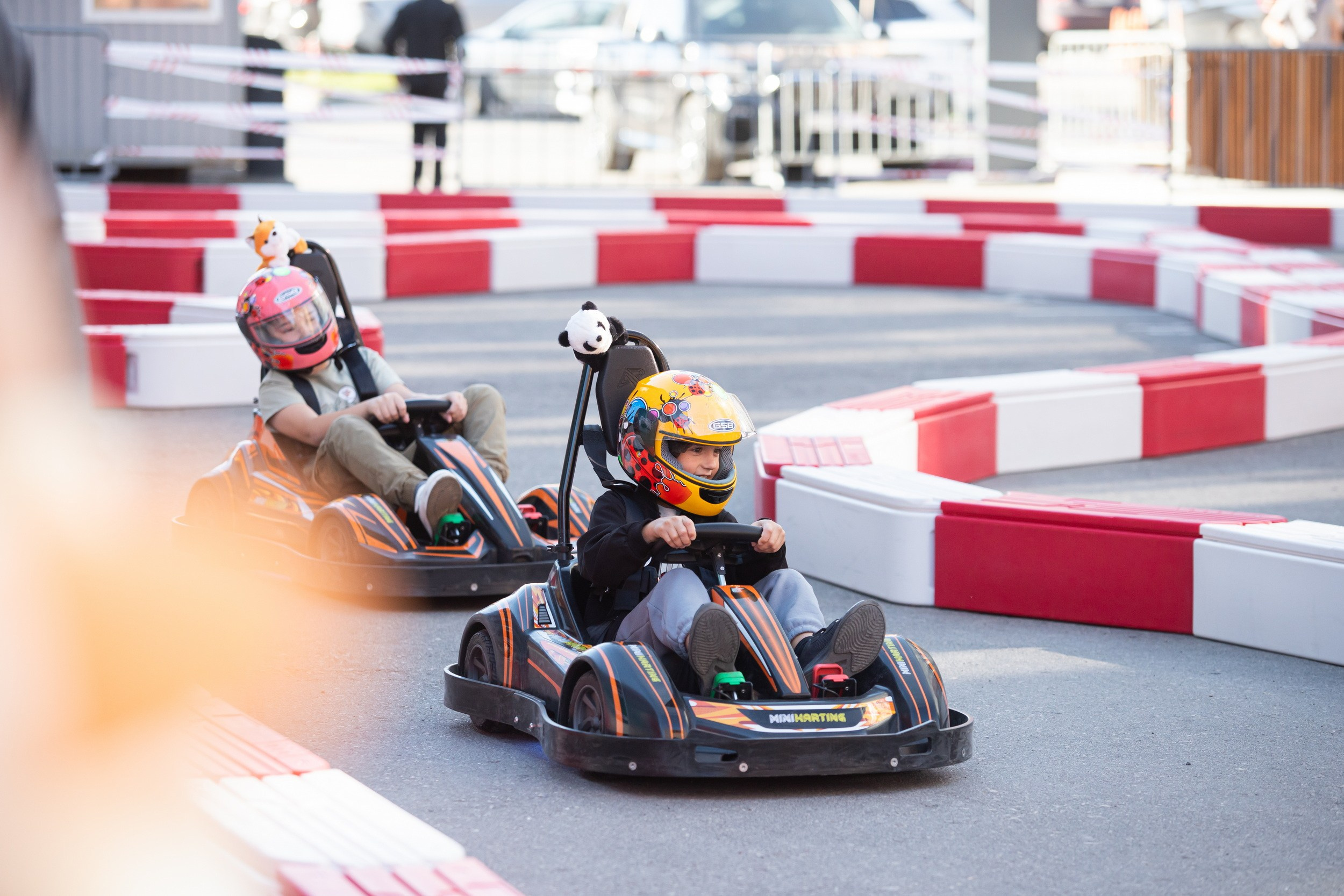 Фестиваль «Электромашина» (13 сентября 2025). Репортажный фотограф Алексей Пирязев