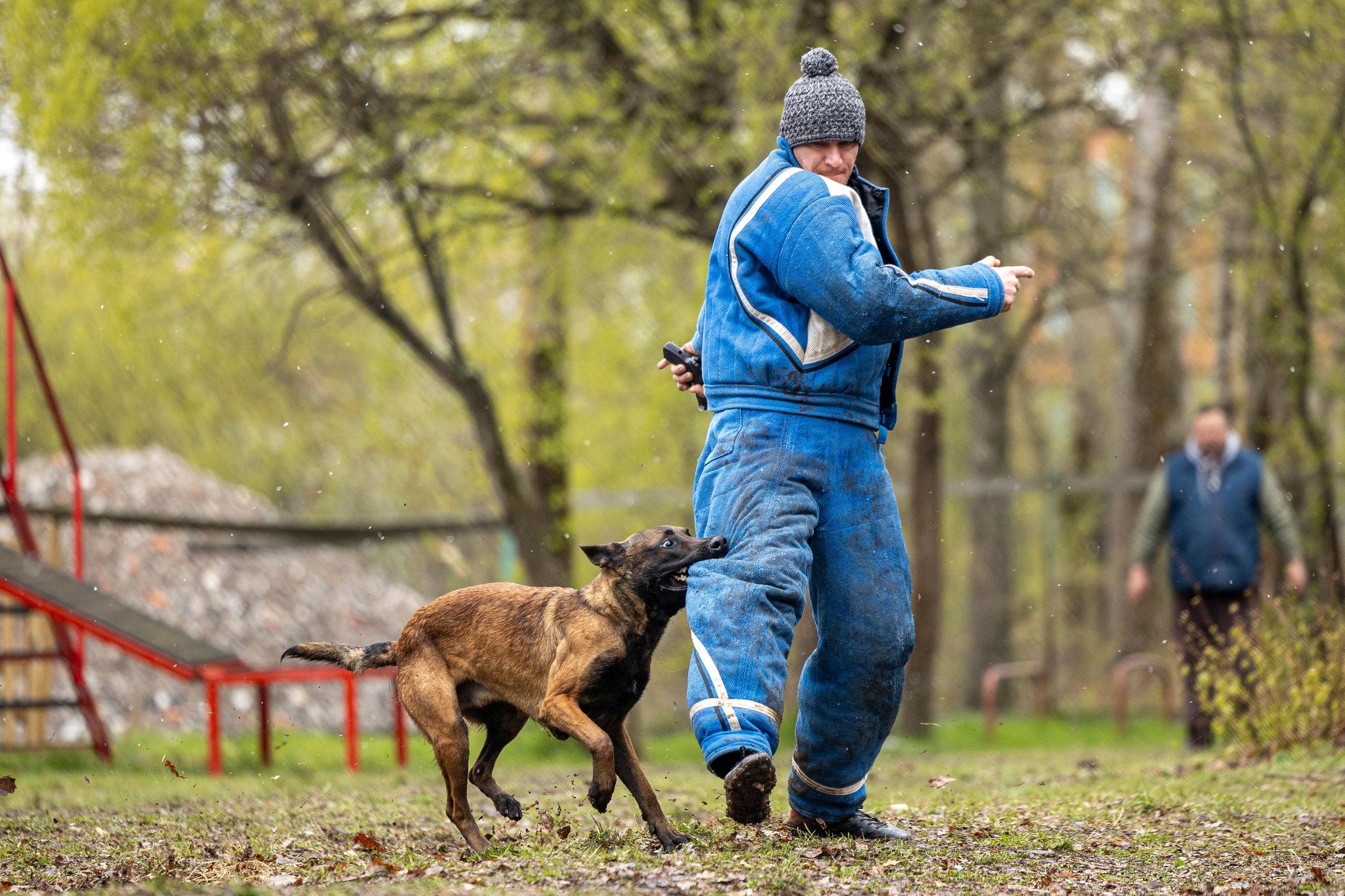Квалификационные состязания по мондьорингу г. Вологда 11.05.24. Фотограф-анималист Анна Маринич