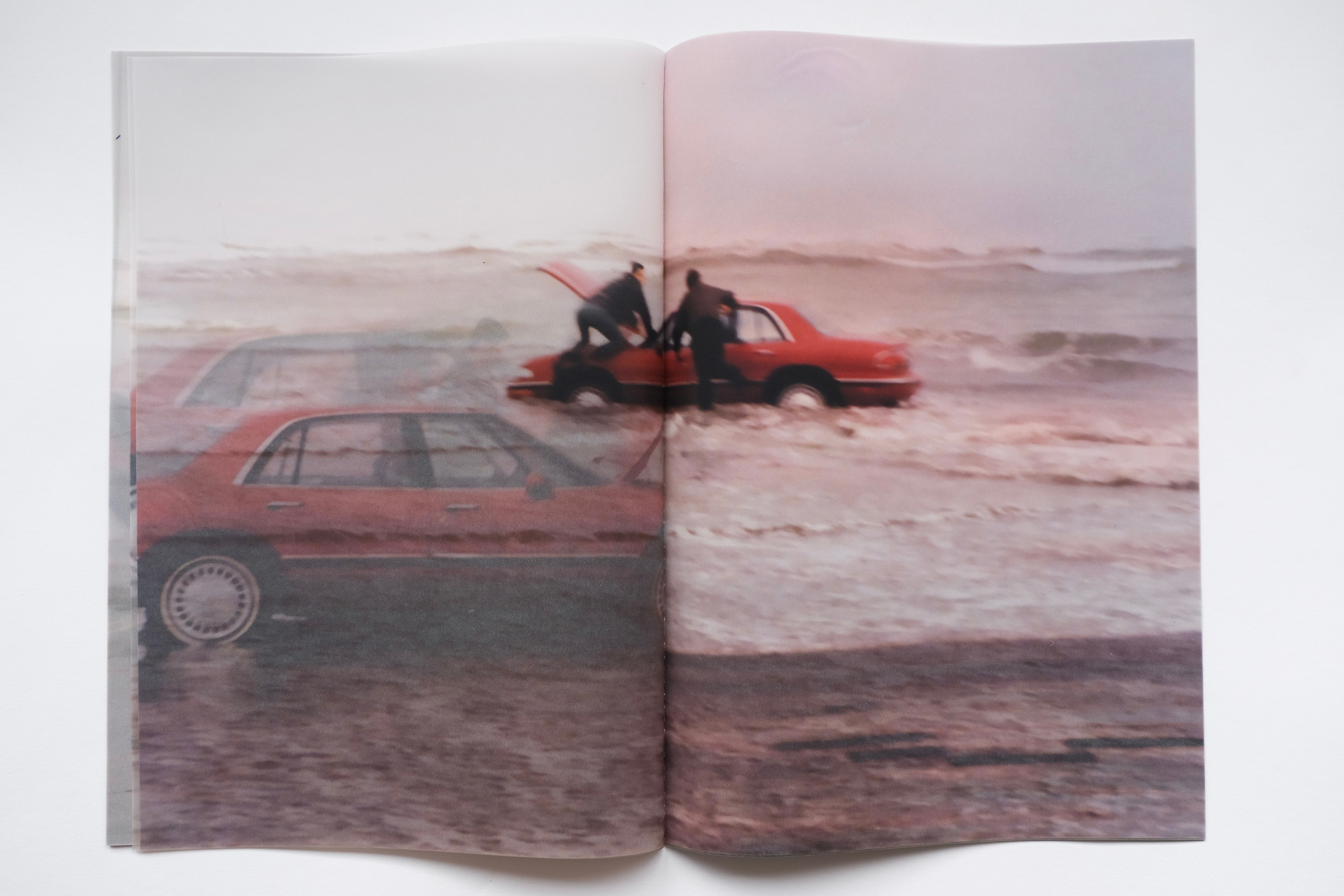 BuickleSabre1998 [книга/work in progress]. Аня белка — художница и фотограф