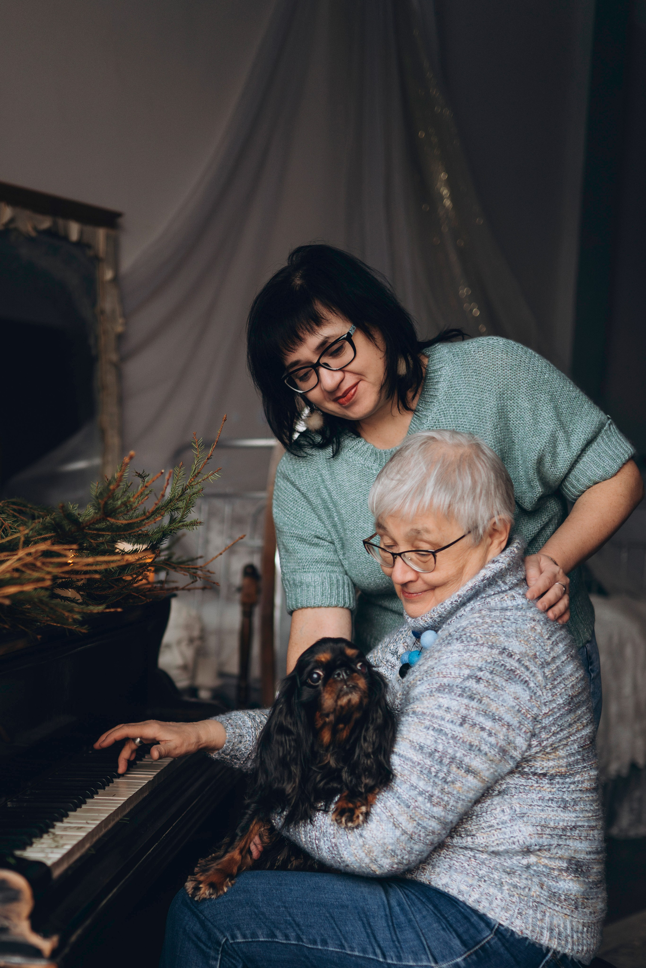 Ариша и её семья. Фотограф анималист в Спб недорого Олеся Майорова