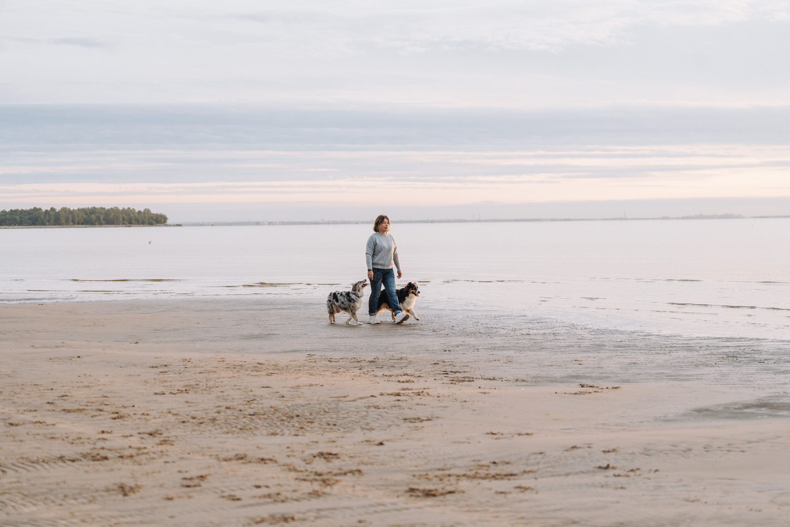Фотограф анималист в Спб. Фотограф анималист в Спб недорого Олеся Майорова