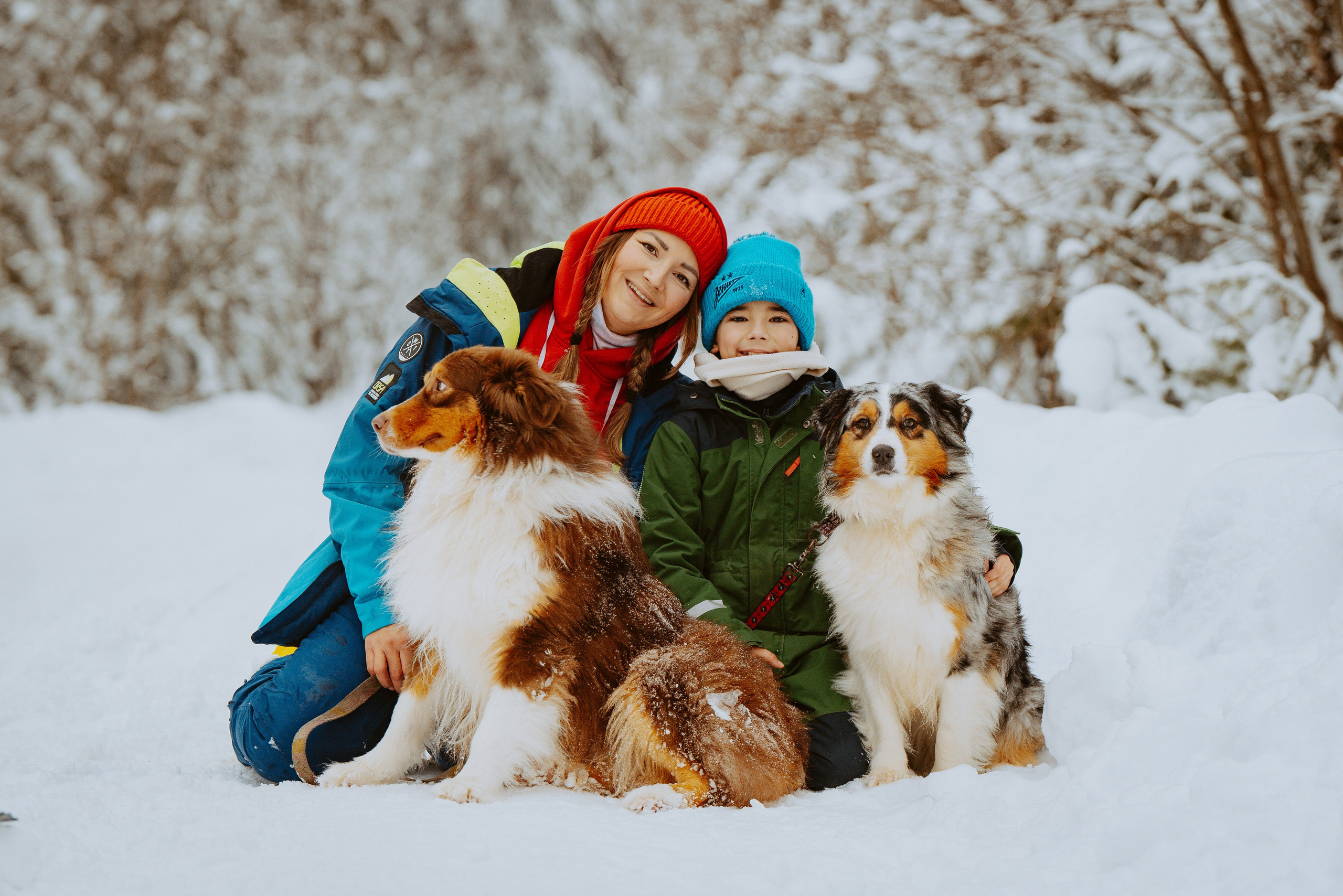 Дог трекинг. Фотограф анималист в Спб недорого Олеся Майорова