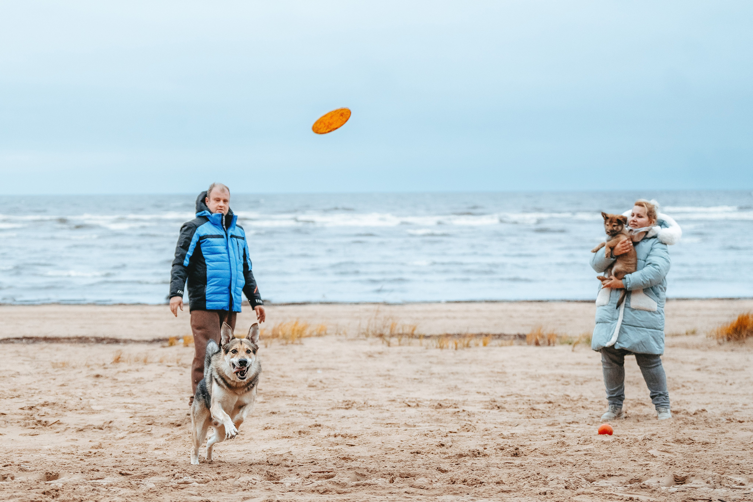 Малыш Кузя и его семья. Фотограф анималист в Спб недорого Олеся Майорова
