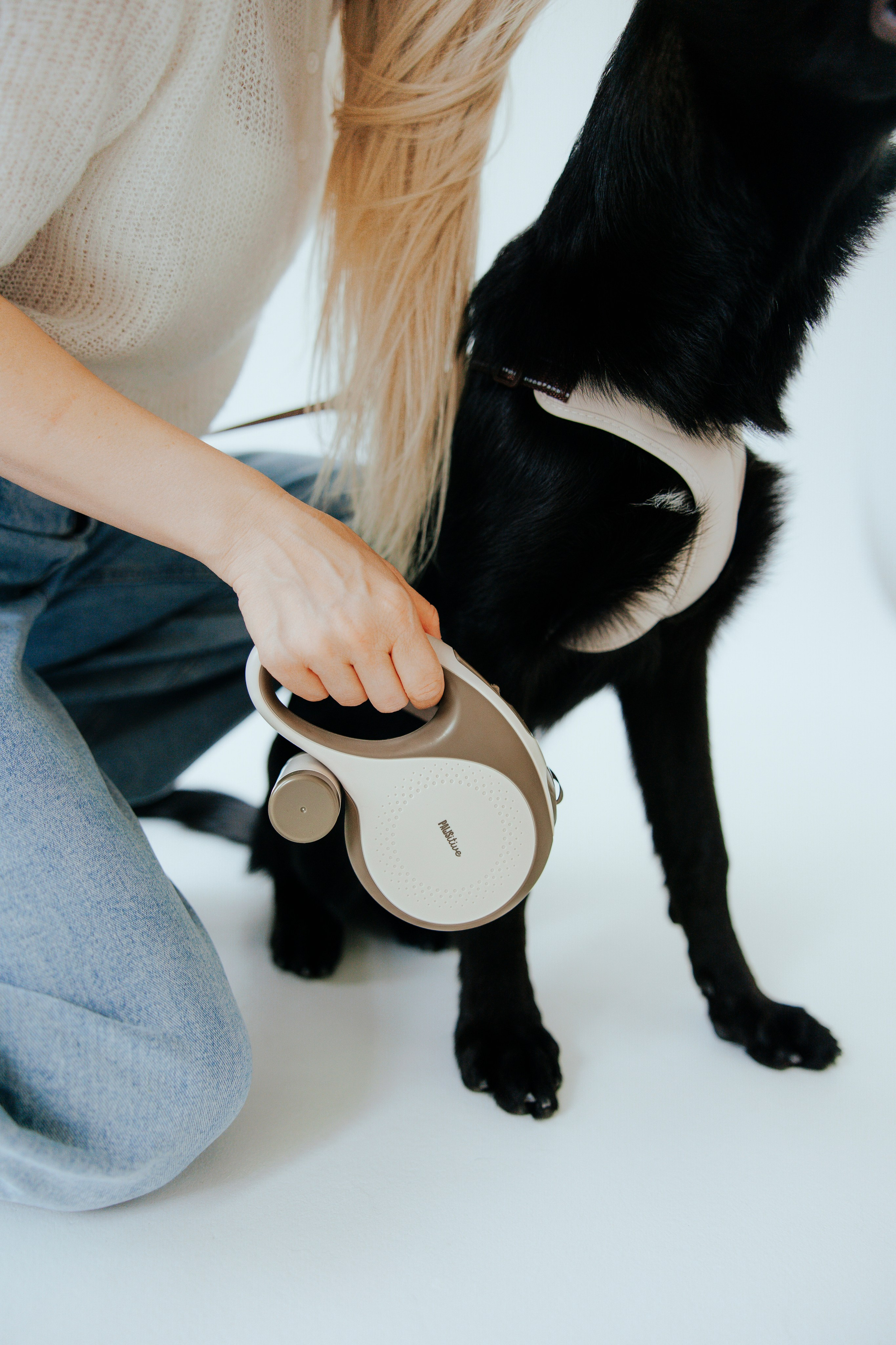 Pawsitive рулетки. Анастасия Белаш