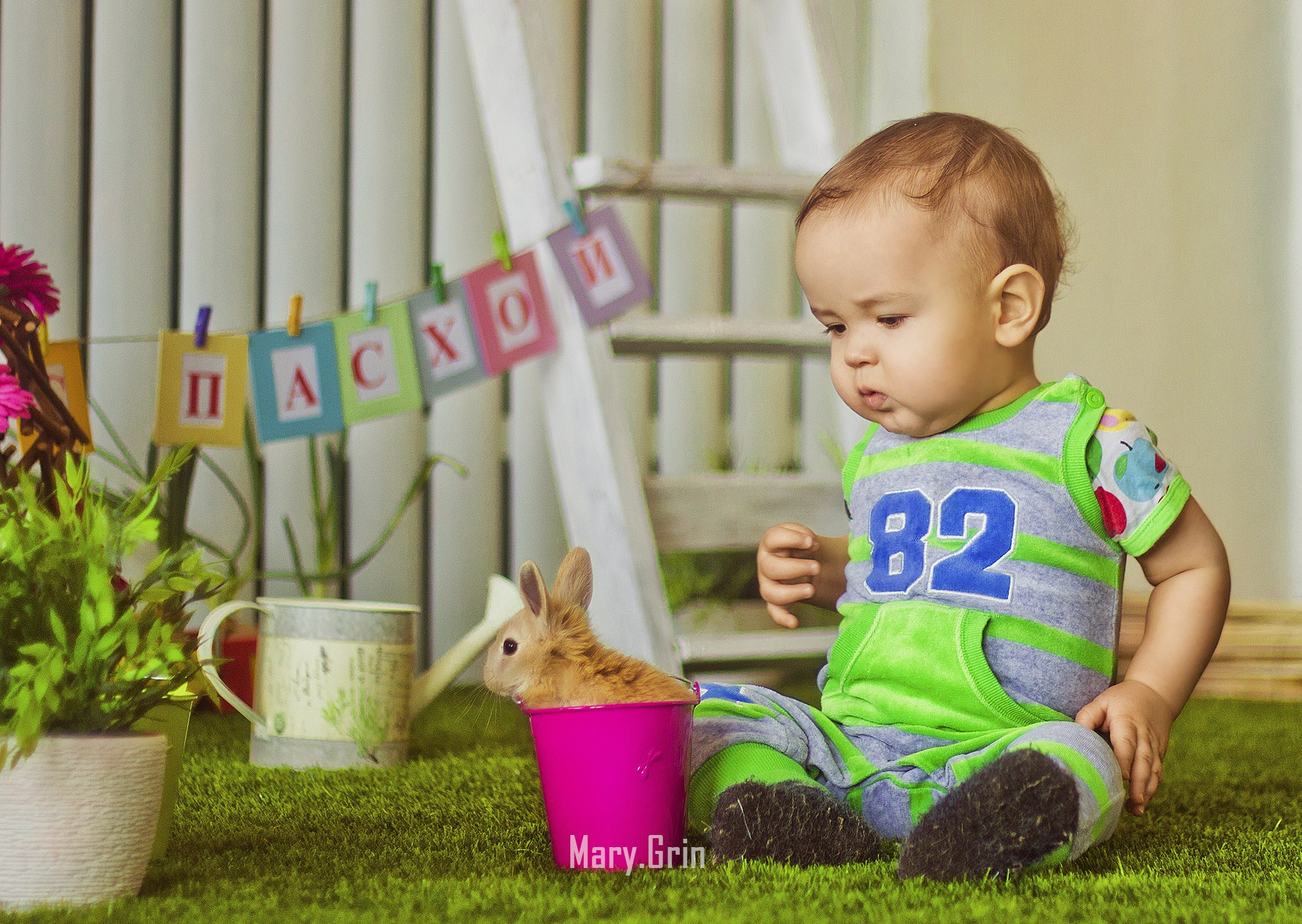 Студийные фотосессии с кроликами. Детский и семейный фотограф, фотограф мероприятий Нижний Новгород