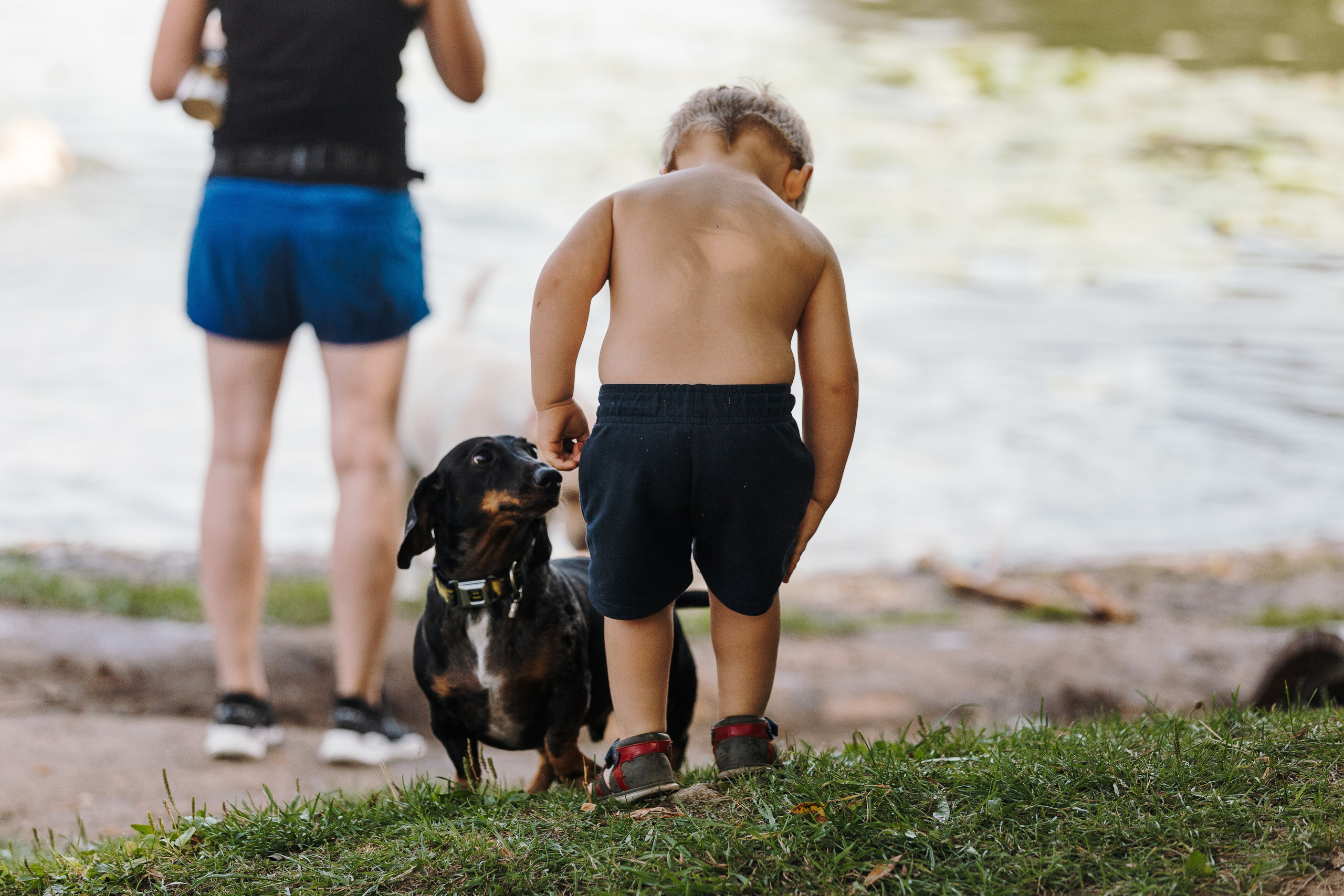 Petshop Sup day. Фотограф анималист Кристина Карпова, Москва
