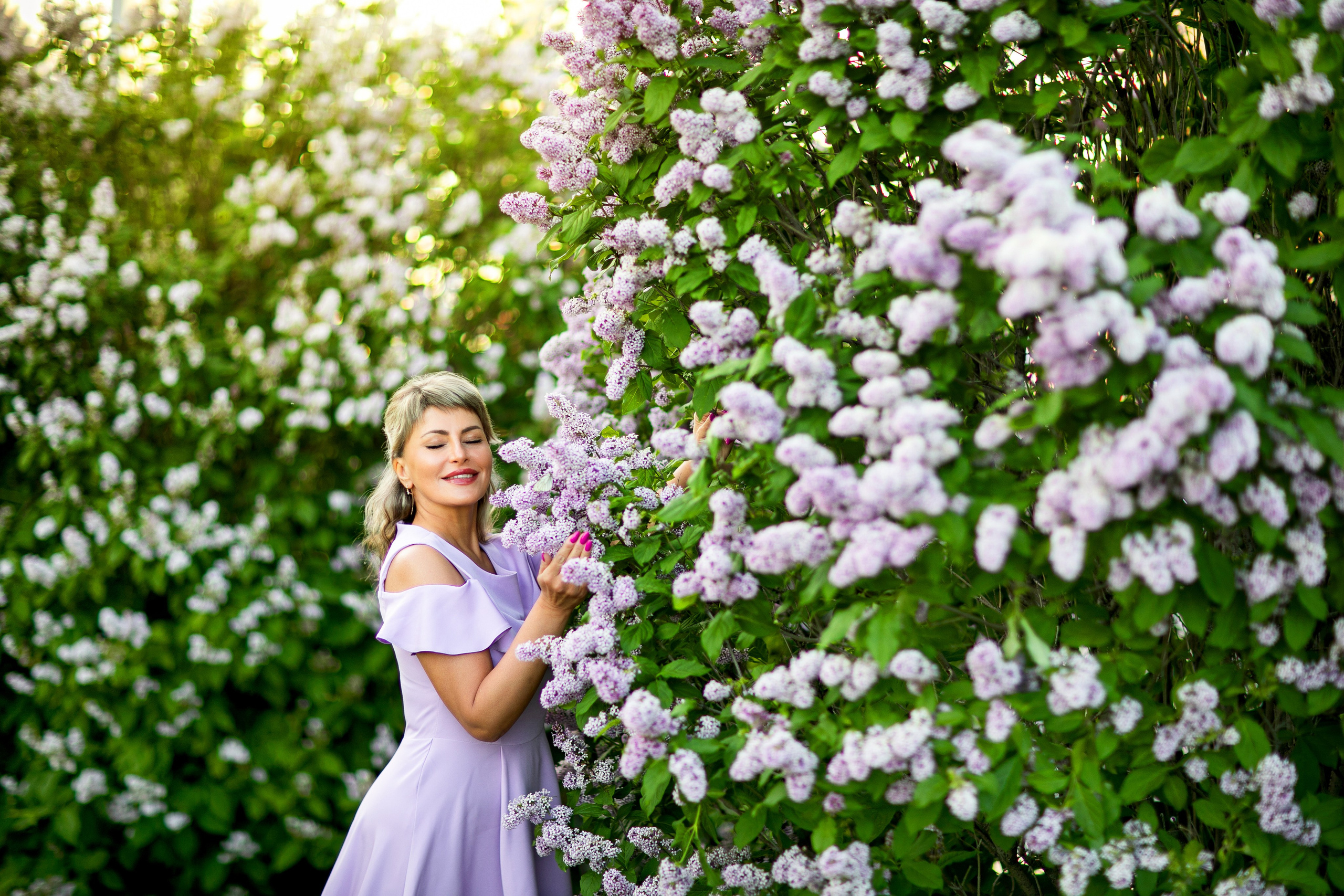 Сирень. Фотограф Елена Вишневская (Ушакова) Нефтеюганск, Сургут, Тюмень