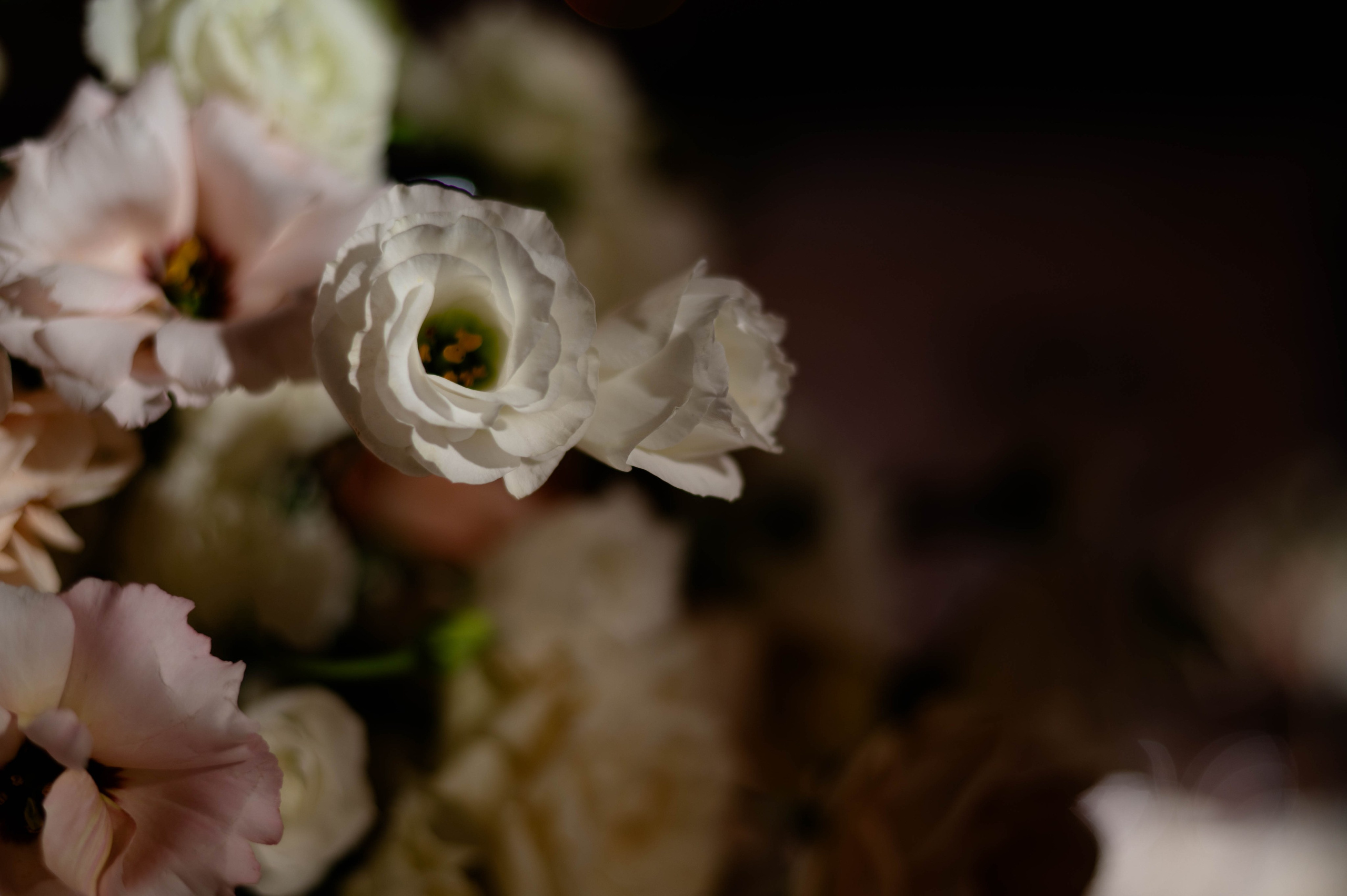 Никита и Ира. Фотограф в Москве. Антон S