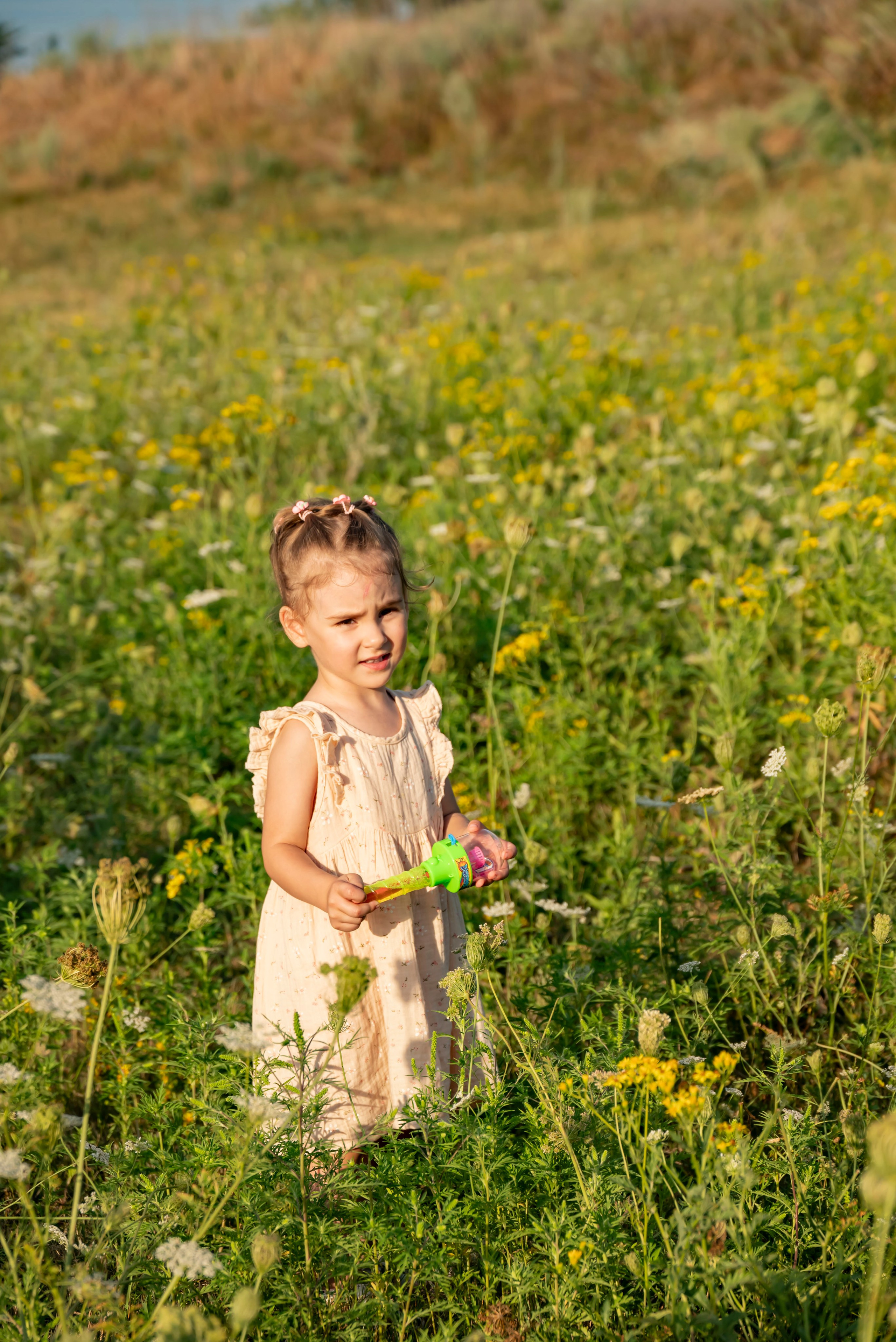 Летняя прогулка. Главная