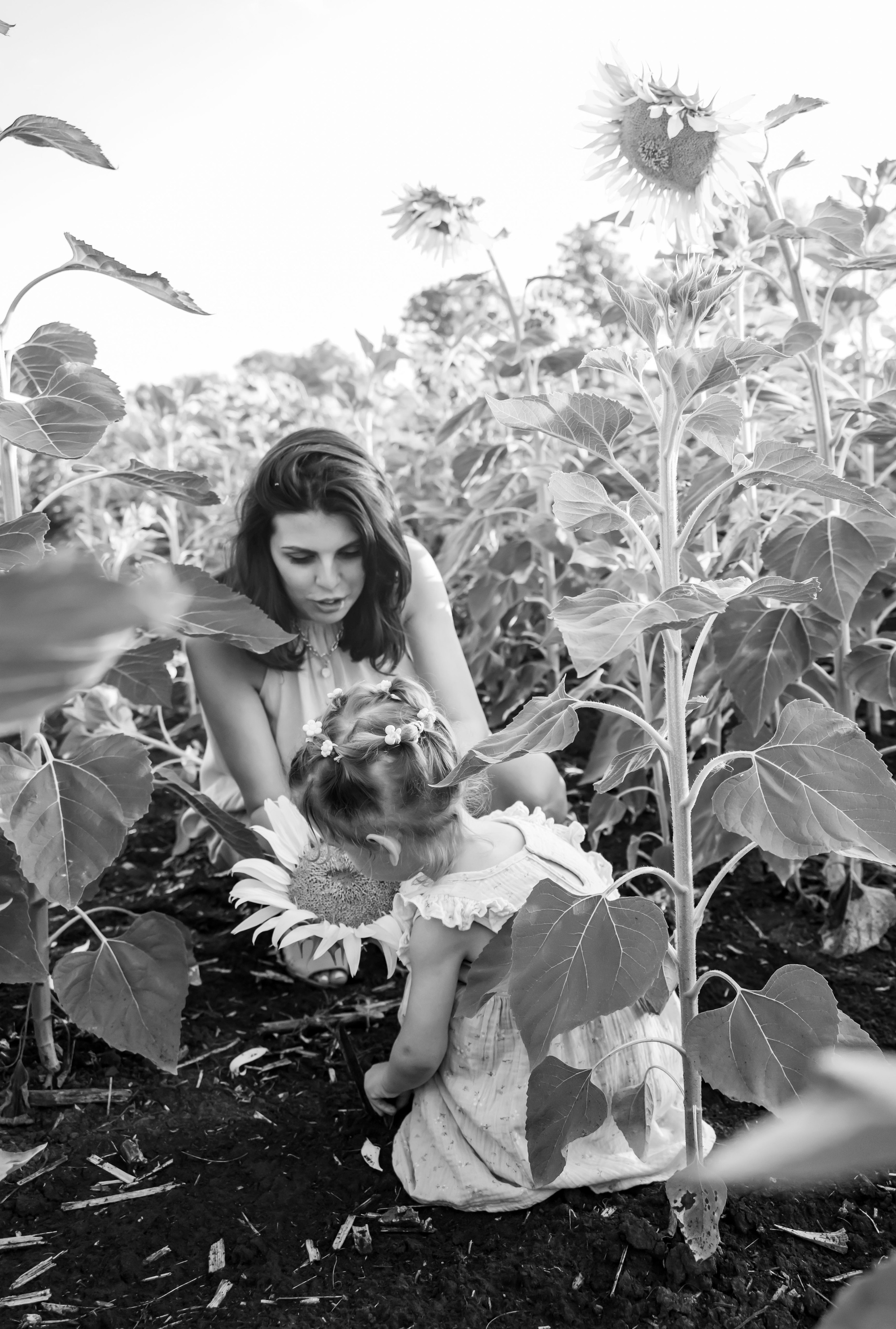 Летняя прогулка. Главная