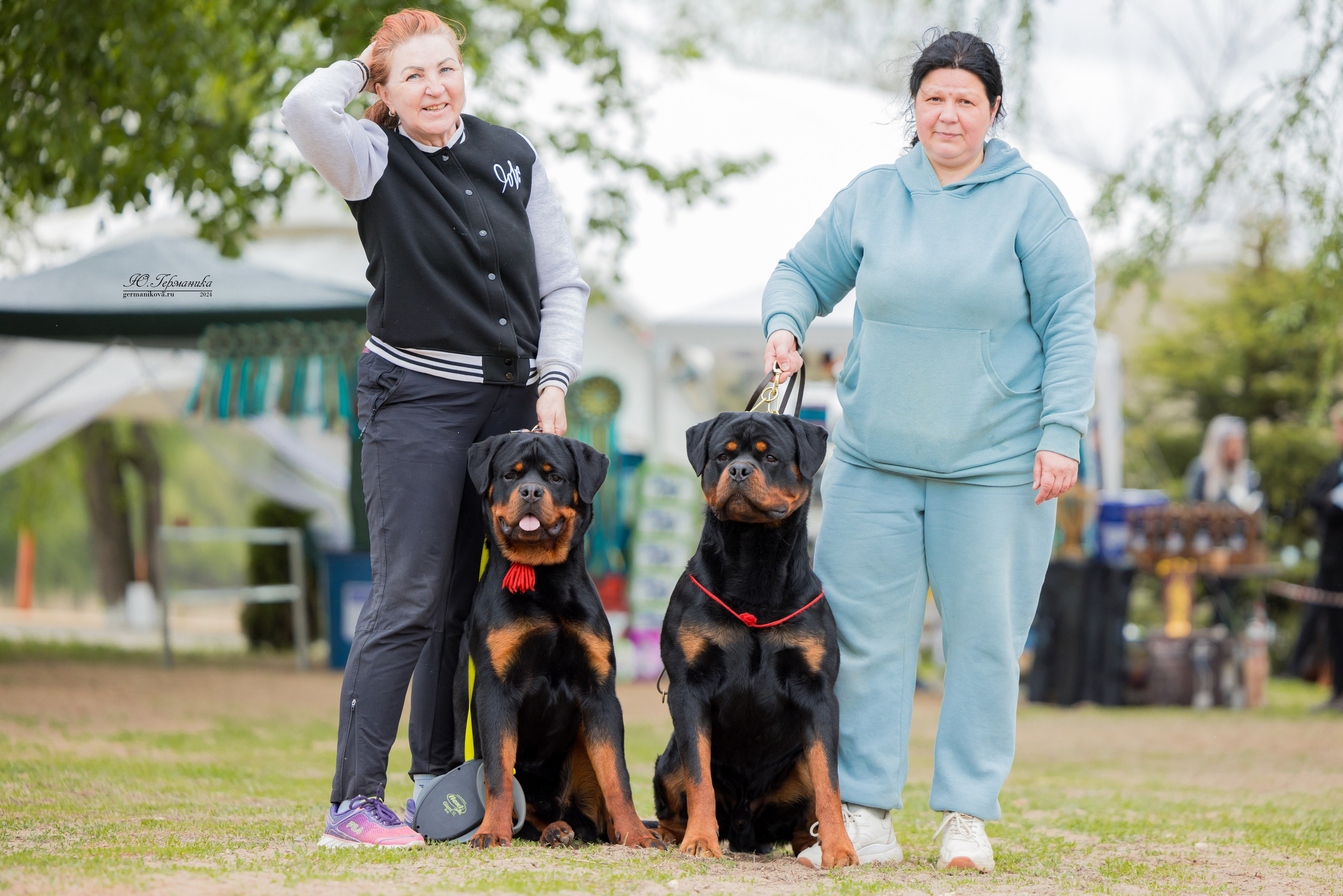 Саратов 2 х моно ротвейлеров 28-29.04.2024. Фотограф-анималист Юлия Германика