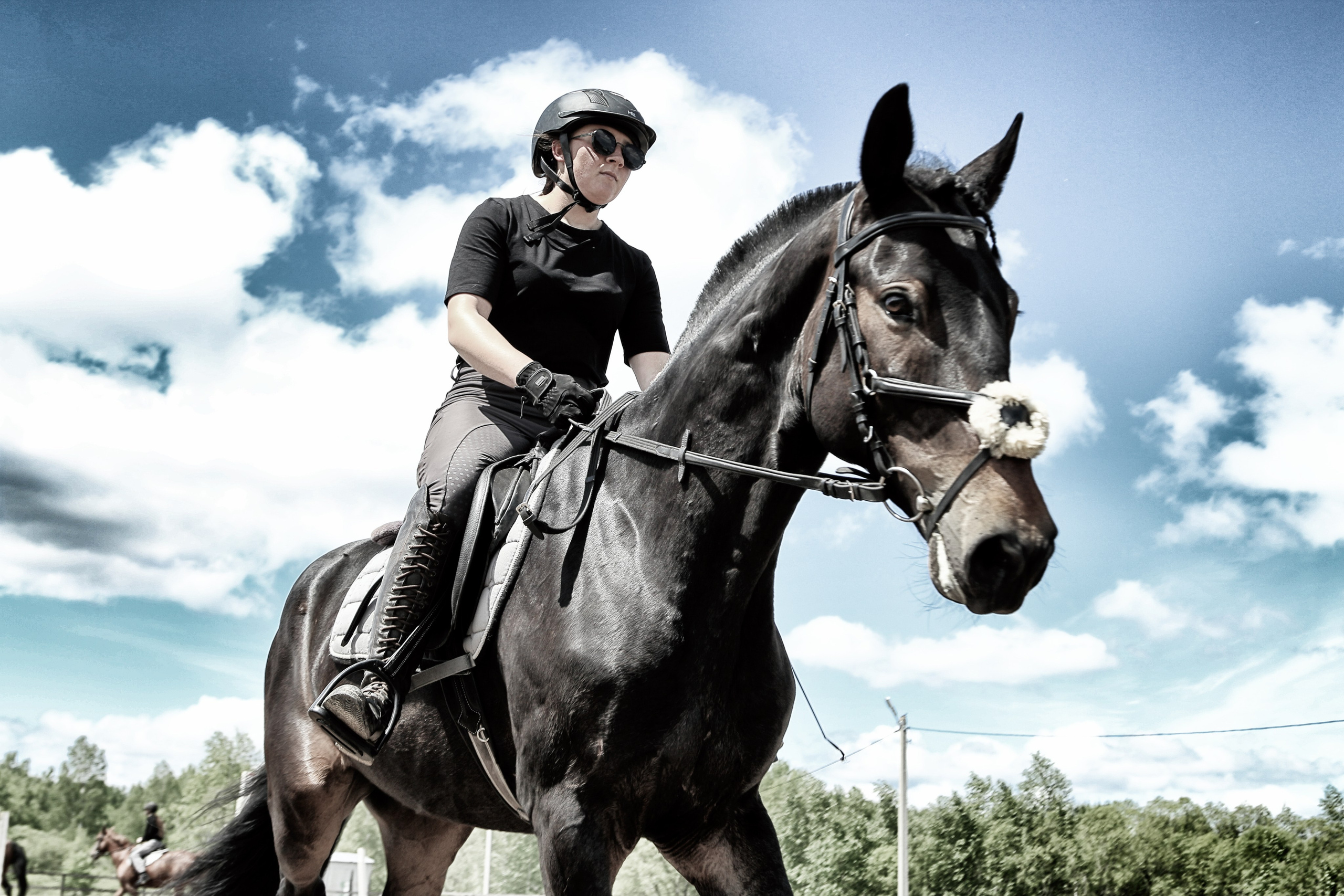 Лошади «Каскад» и «Брилиант». Алиса Томшина — Фотограф / Видеограф