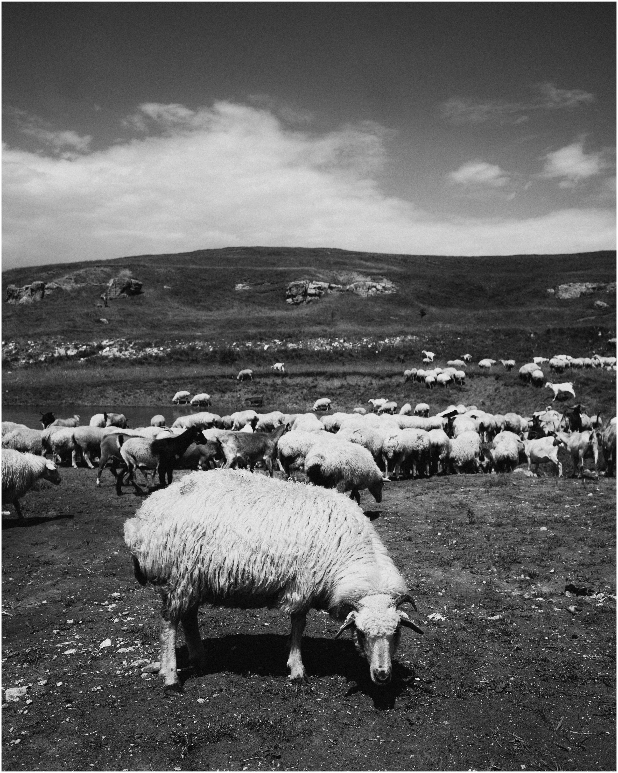 Dagestan / Yandex 360 x КУДА ГЛАЗА ГЛЯДЯТ