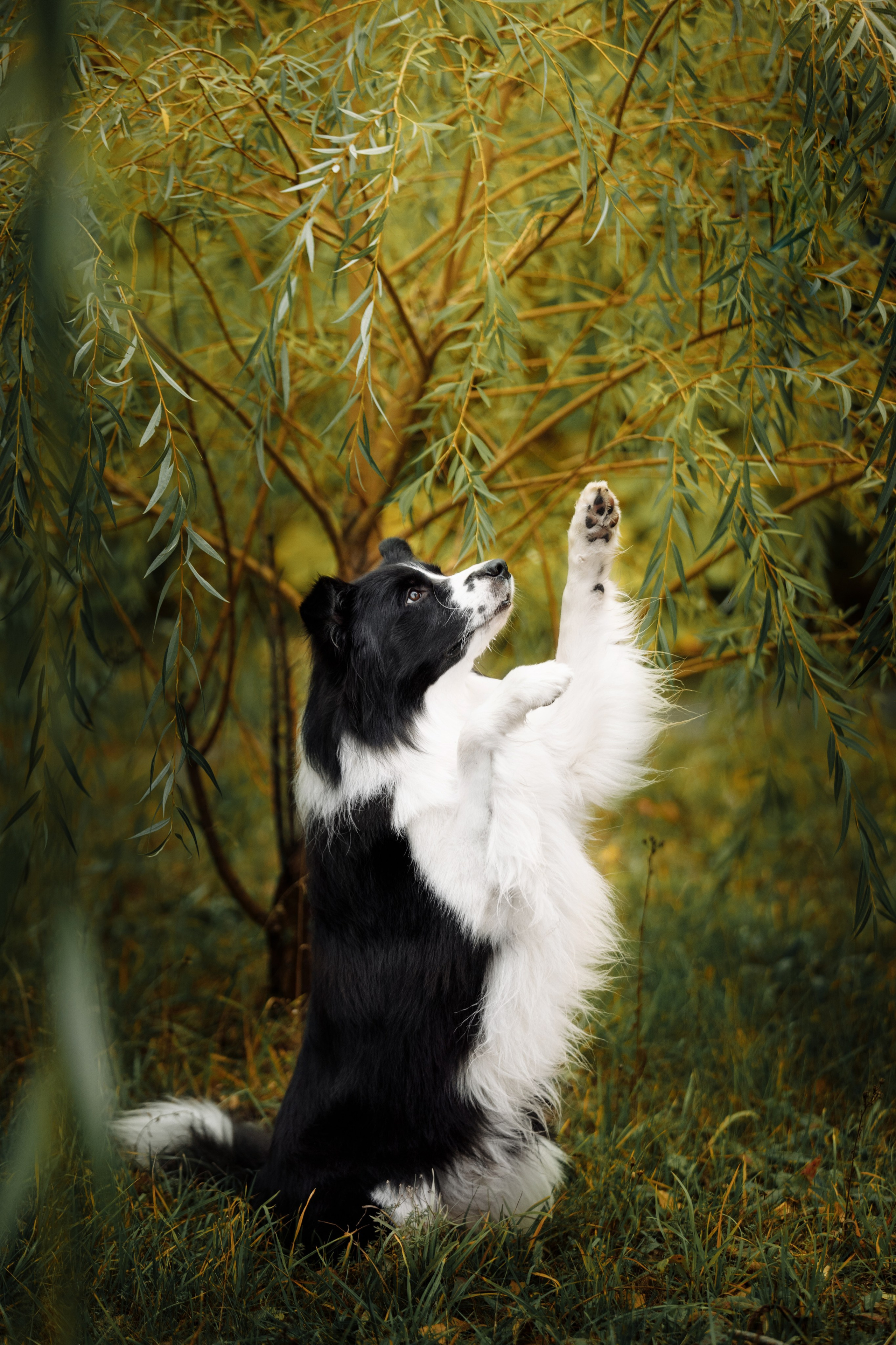 Казань. О нас