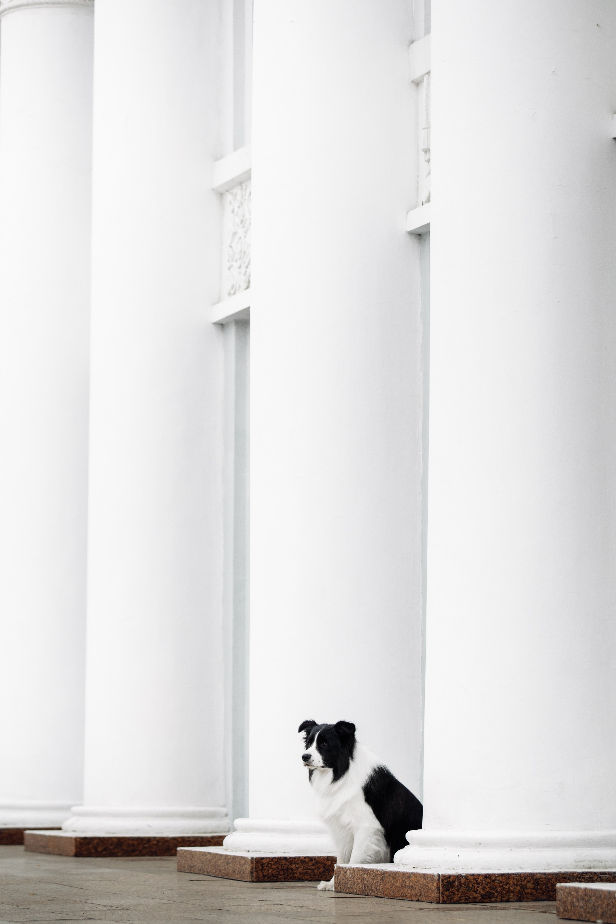 Казань. О нас