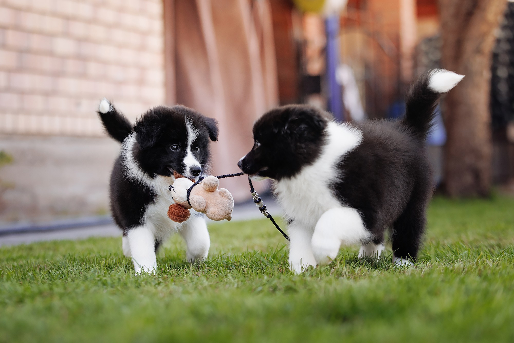 Трава у дома. О нас