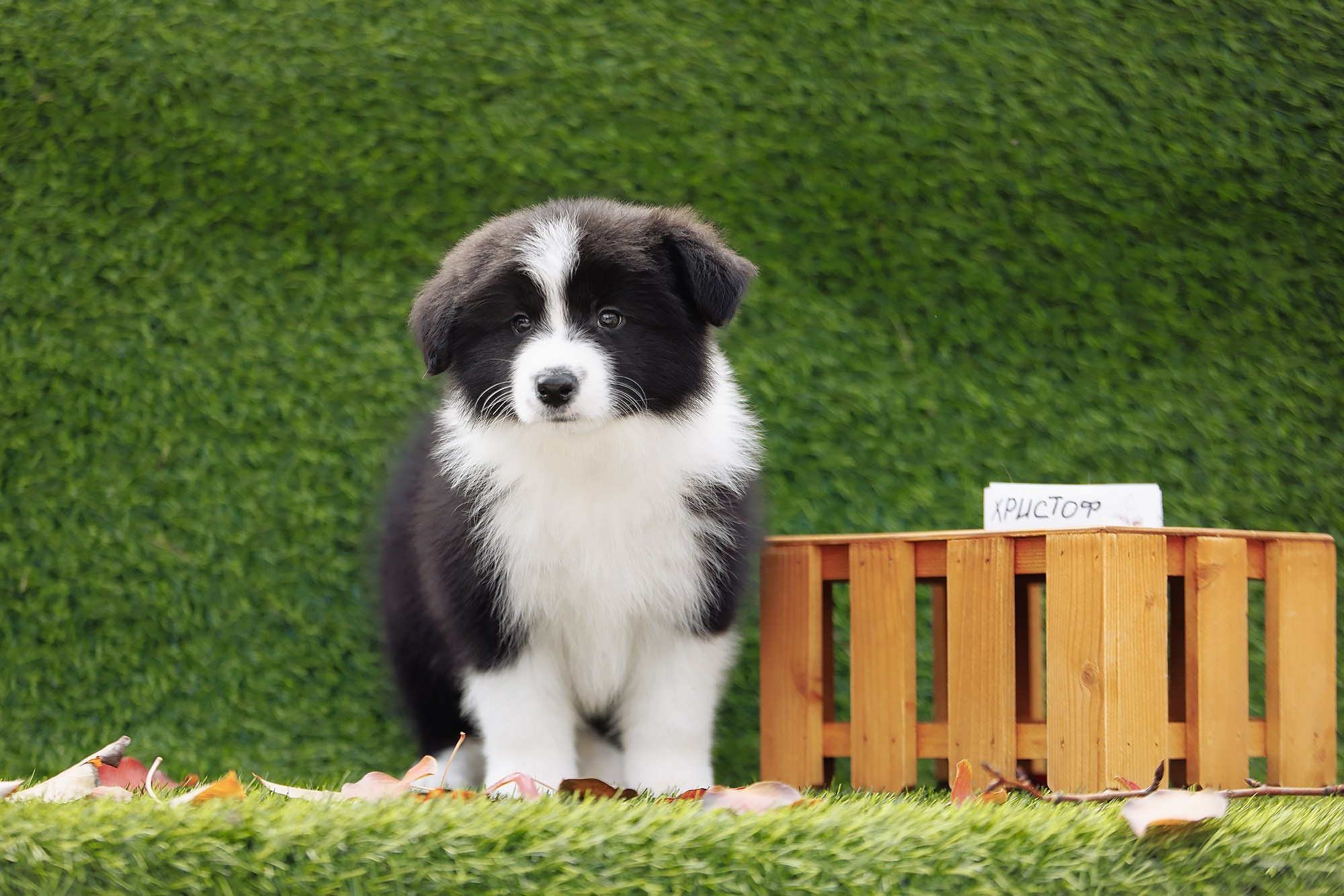 Новый лист. О нас