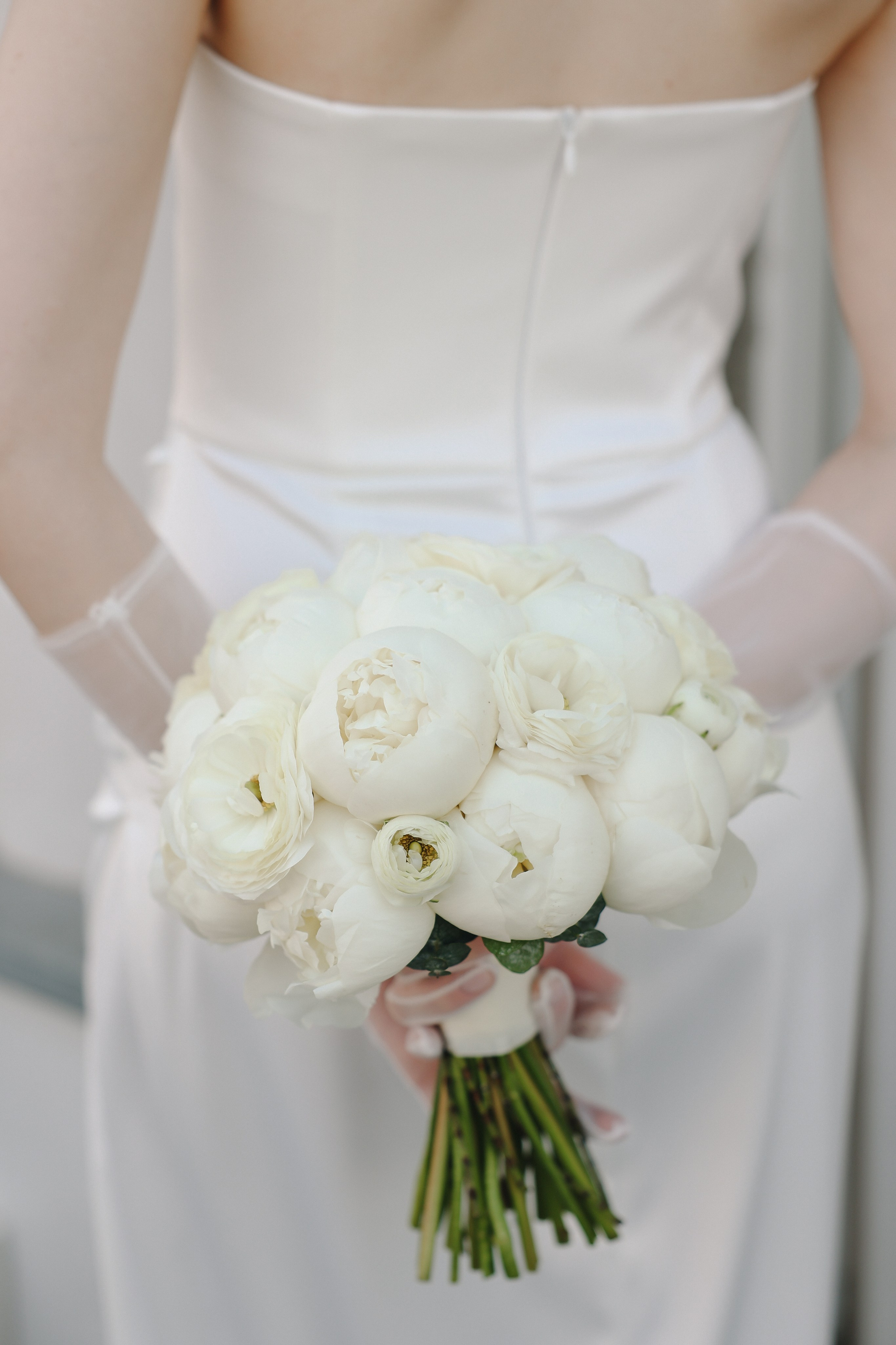 Savoi-Panorama. Главная