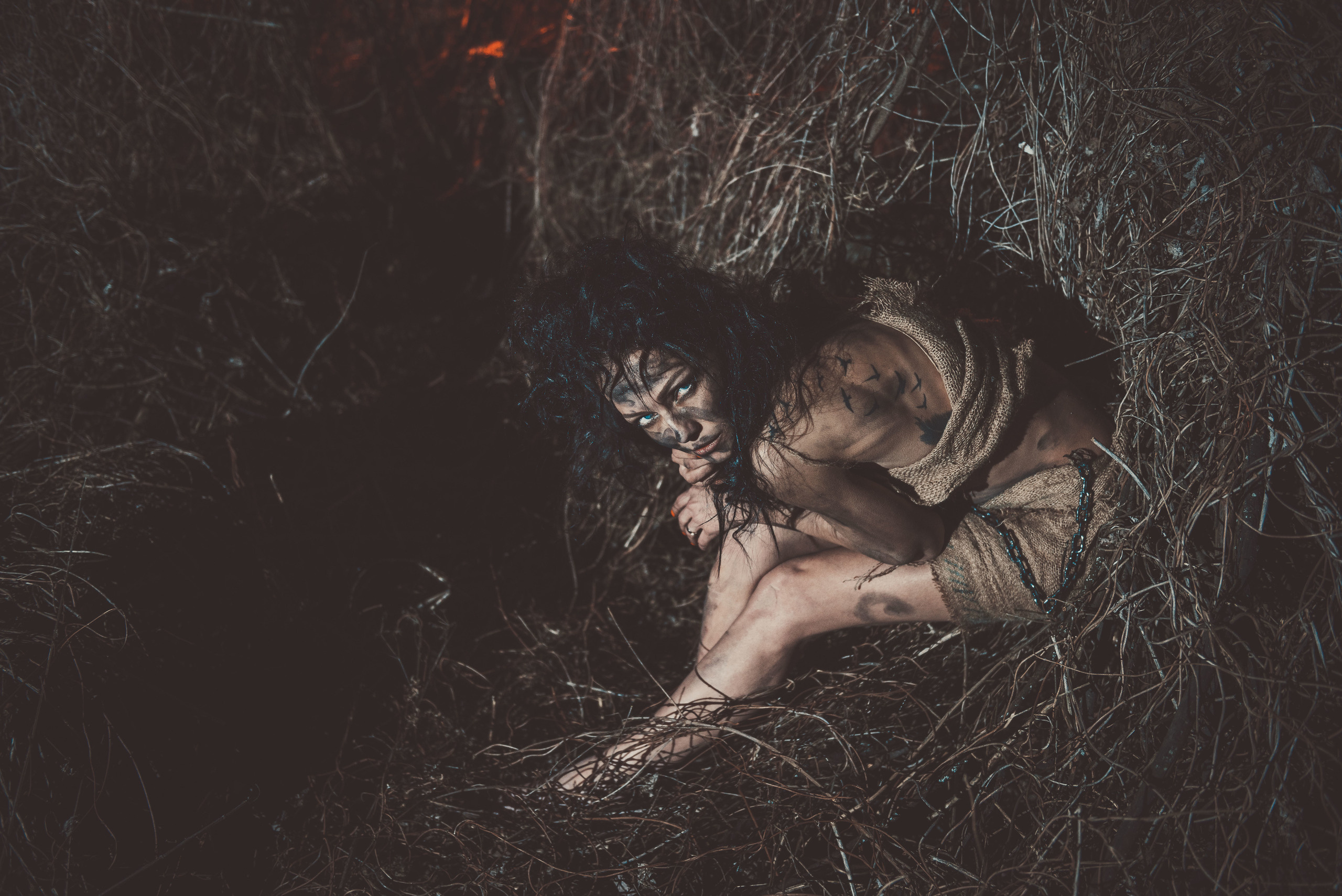 Дикий зверёк. Belichev45foto.ru