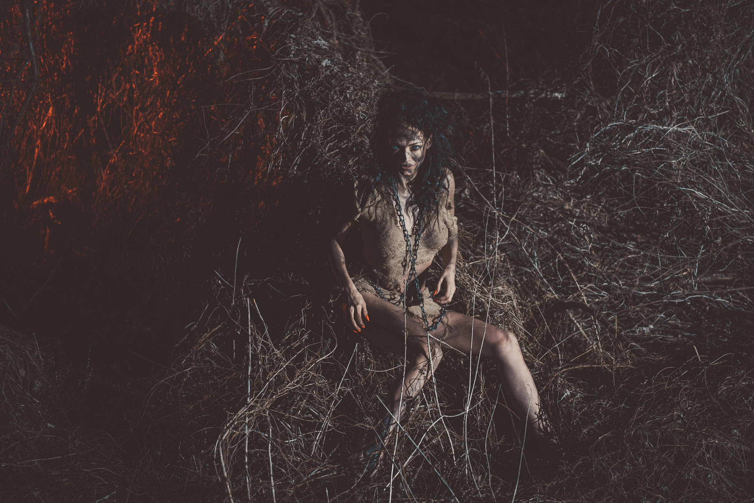 Дикий зверёк. Belichev45foto.ru