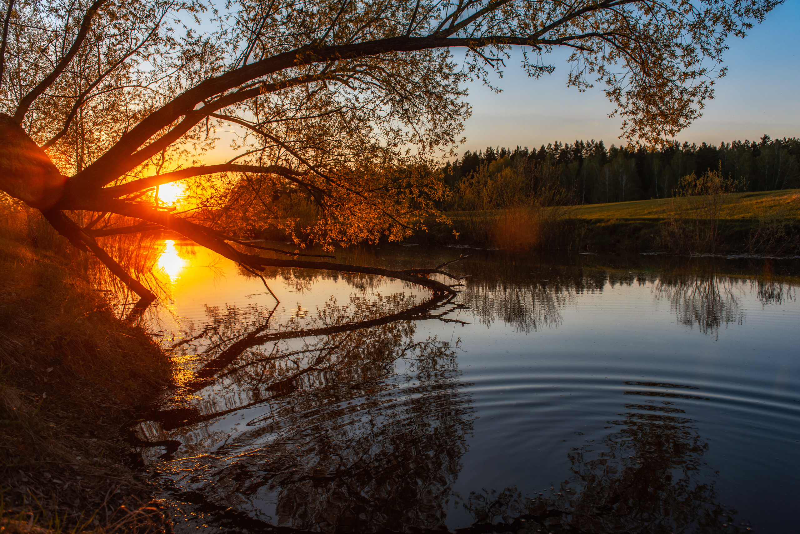 Природа. Belichev45foto.ru