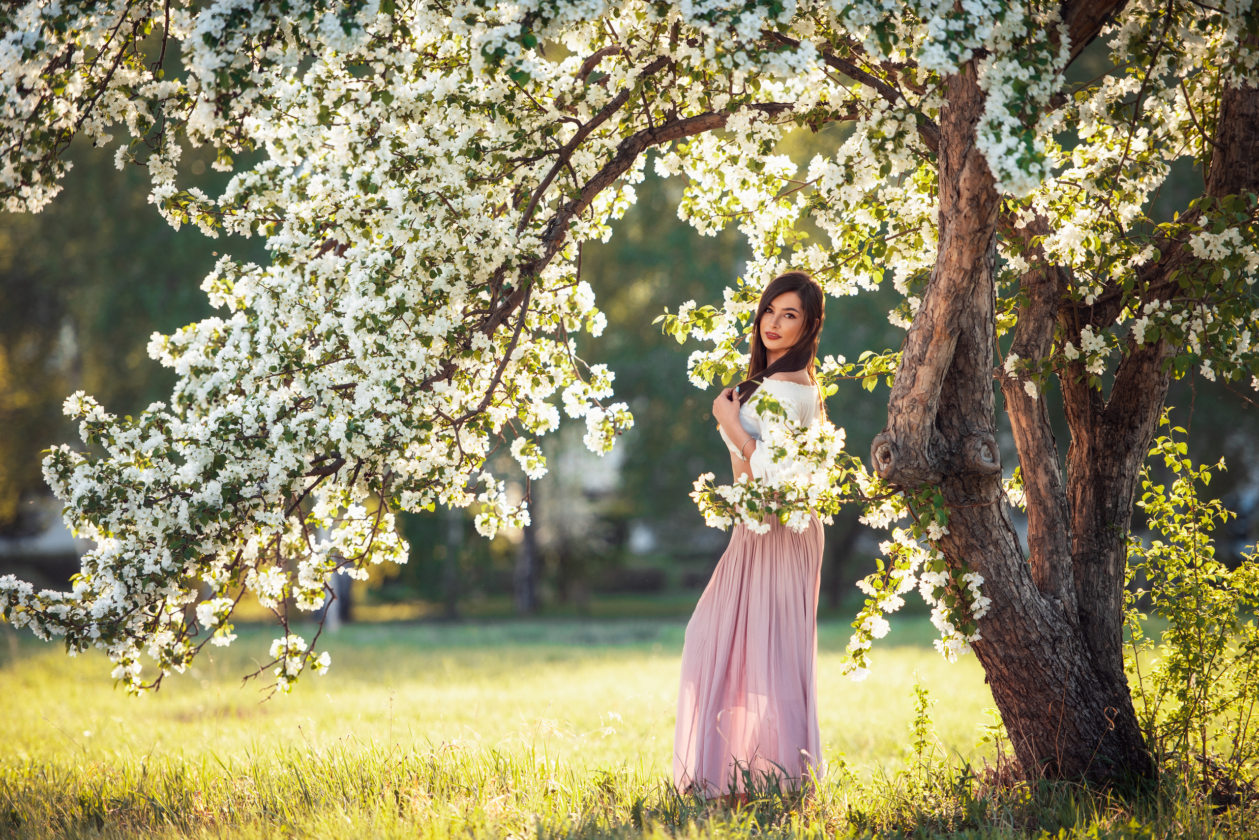 В цветении. Belichev45foto.ru