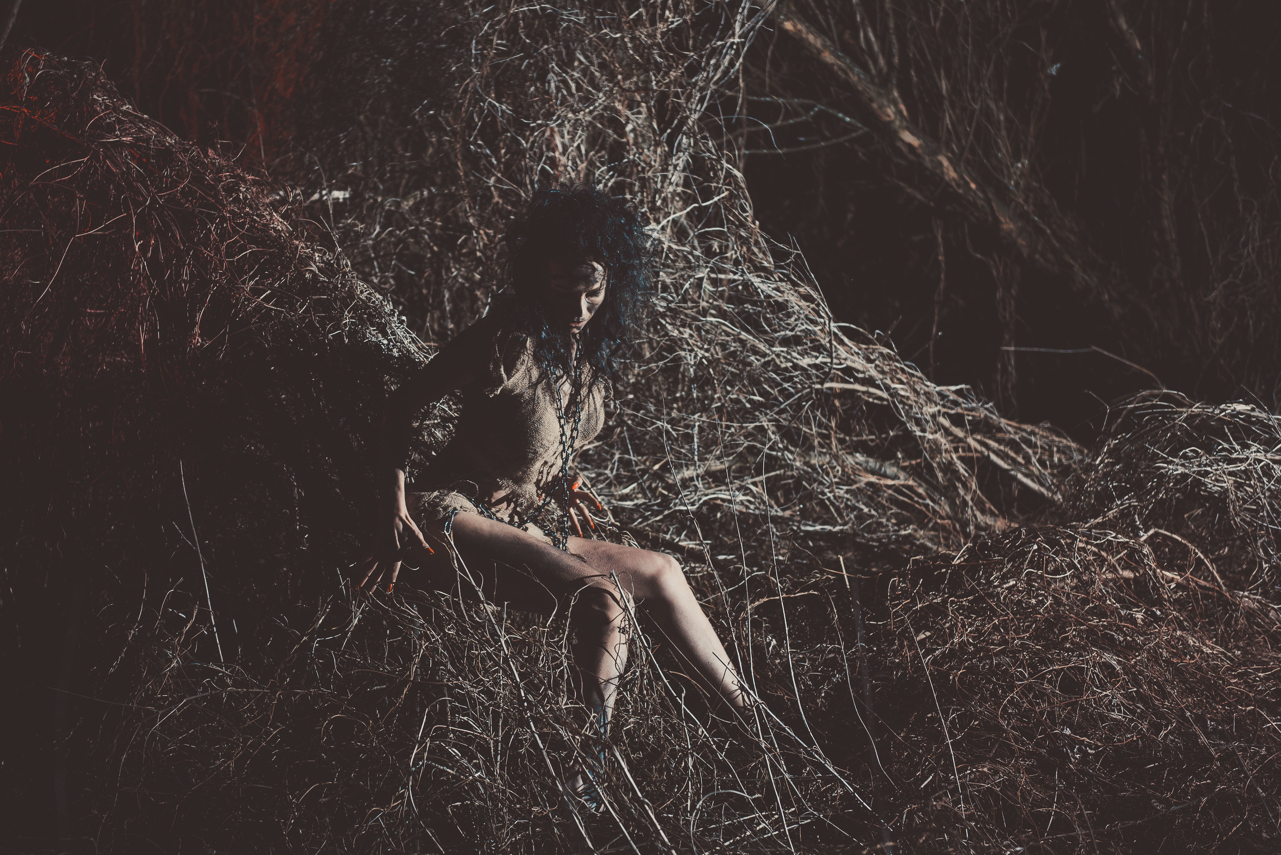 Дикий зверёк. Belichev45foto.ru