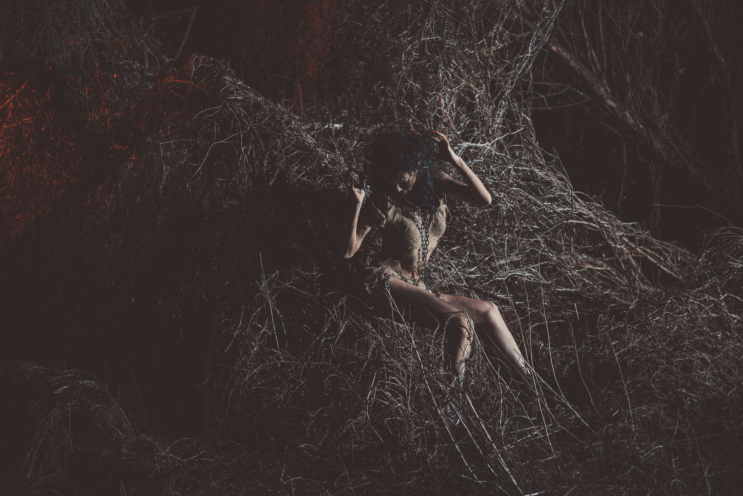 Дикий зверёк. Belichev45foto.ru