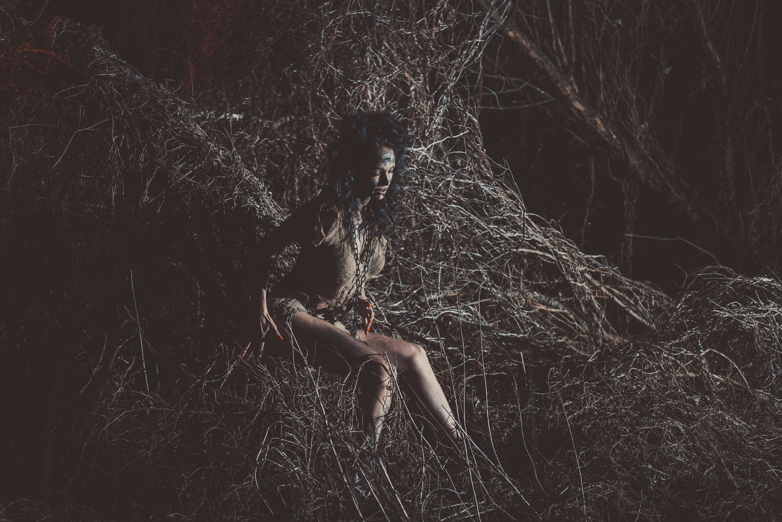 Дикий зверёк. Belichev45foto.ru