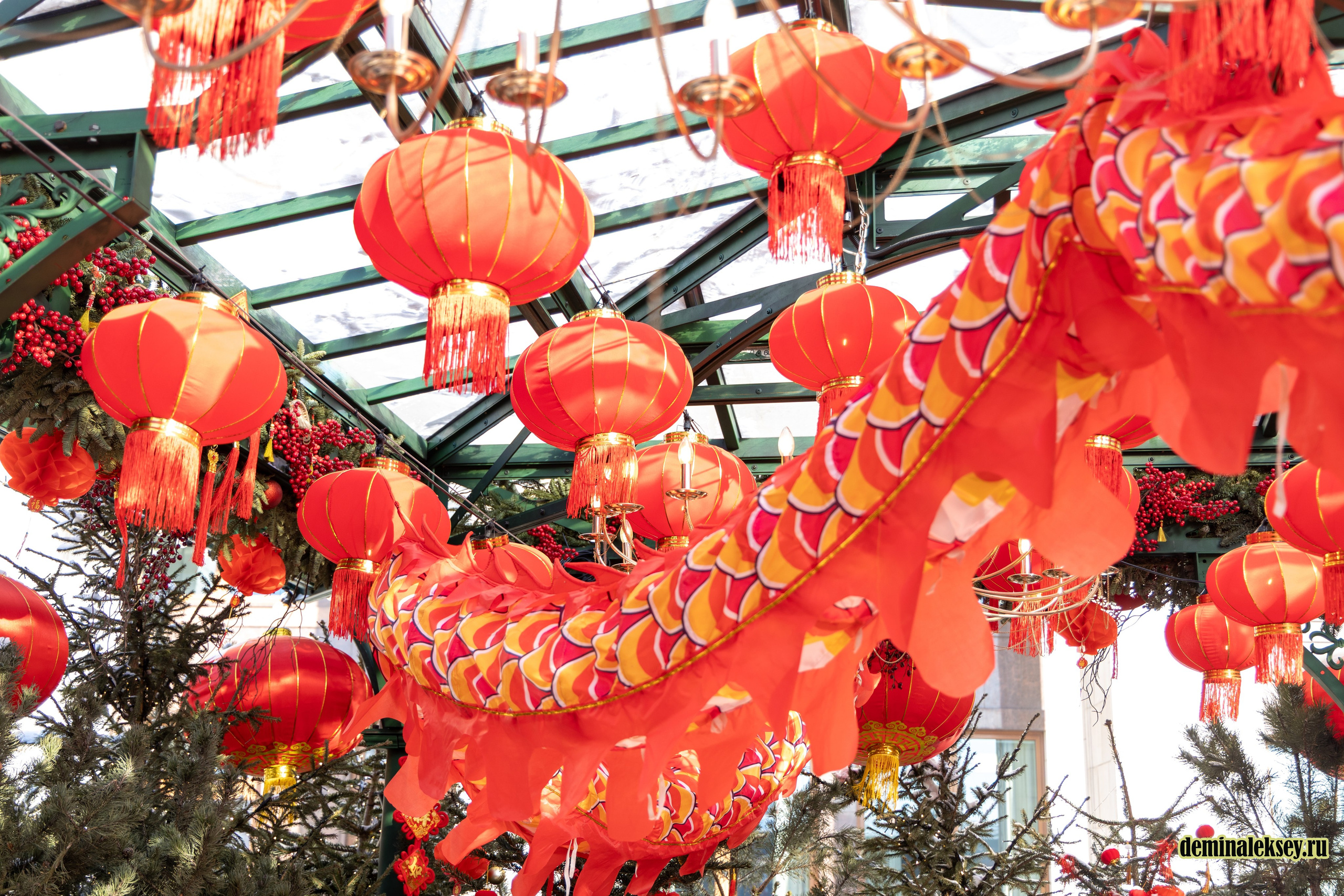 Китайский Новый год в Москве 2026. Репортажный, семейный и студийный фотограф в Москве Демин Алексей
