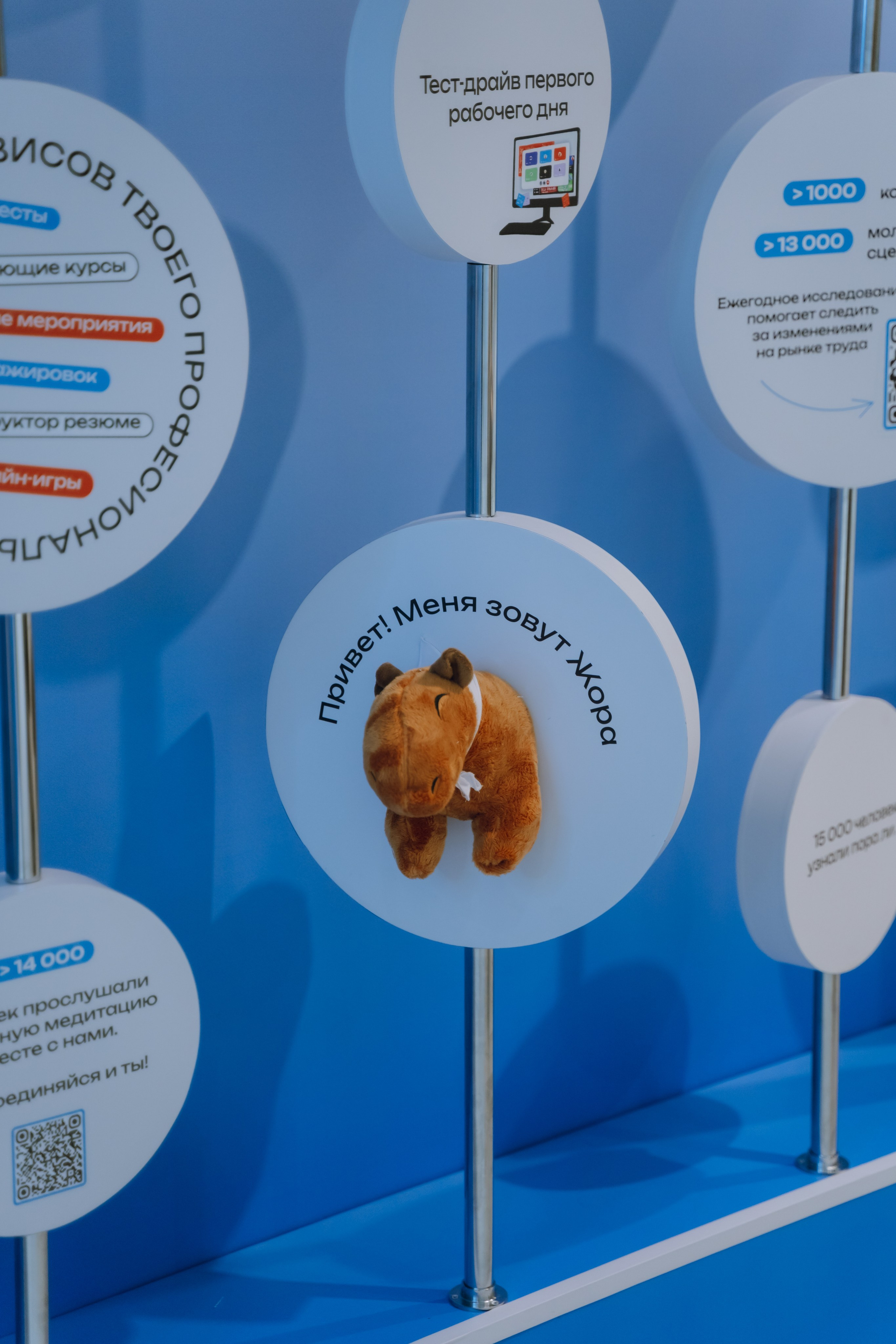 Профразвитие 1 декабря. Фотограф Надежда Погребняк | Рязань | Москва