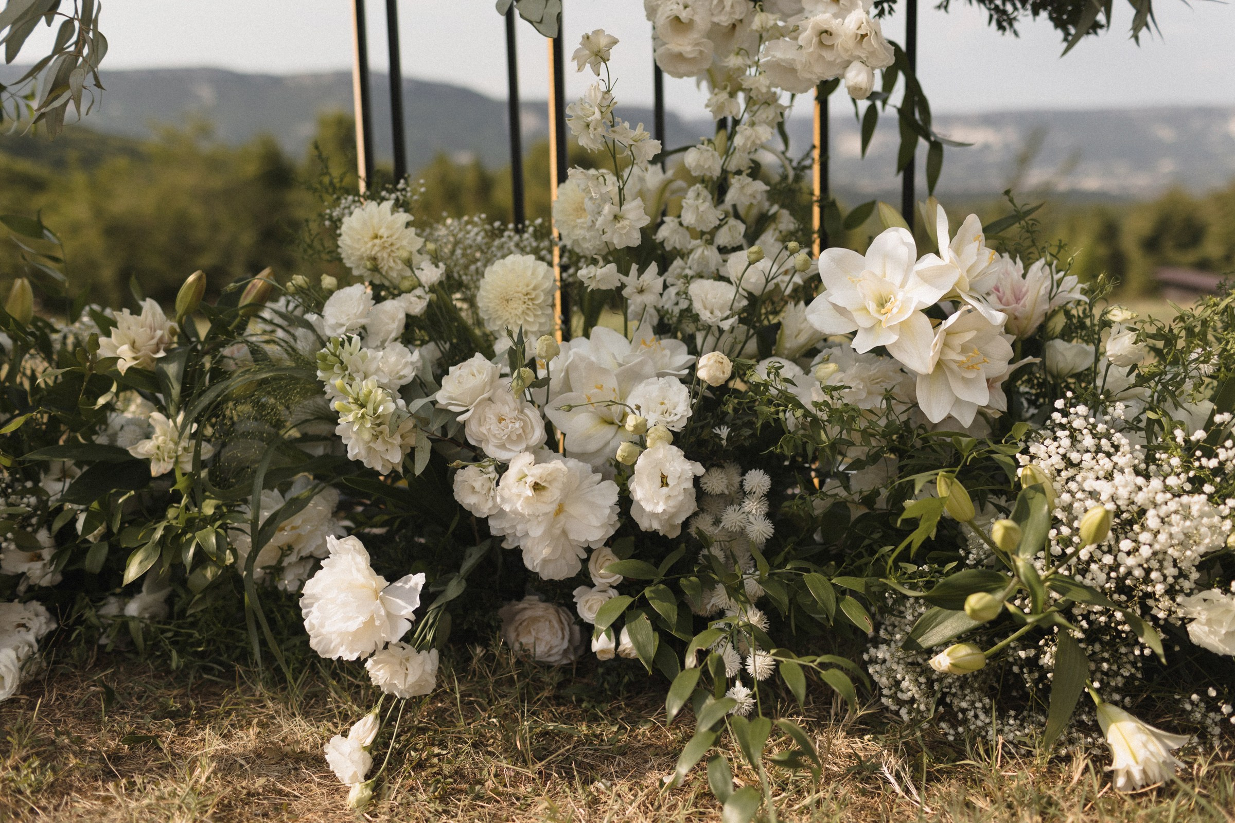 Ты-семья. Sovushka DS