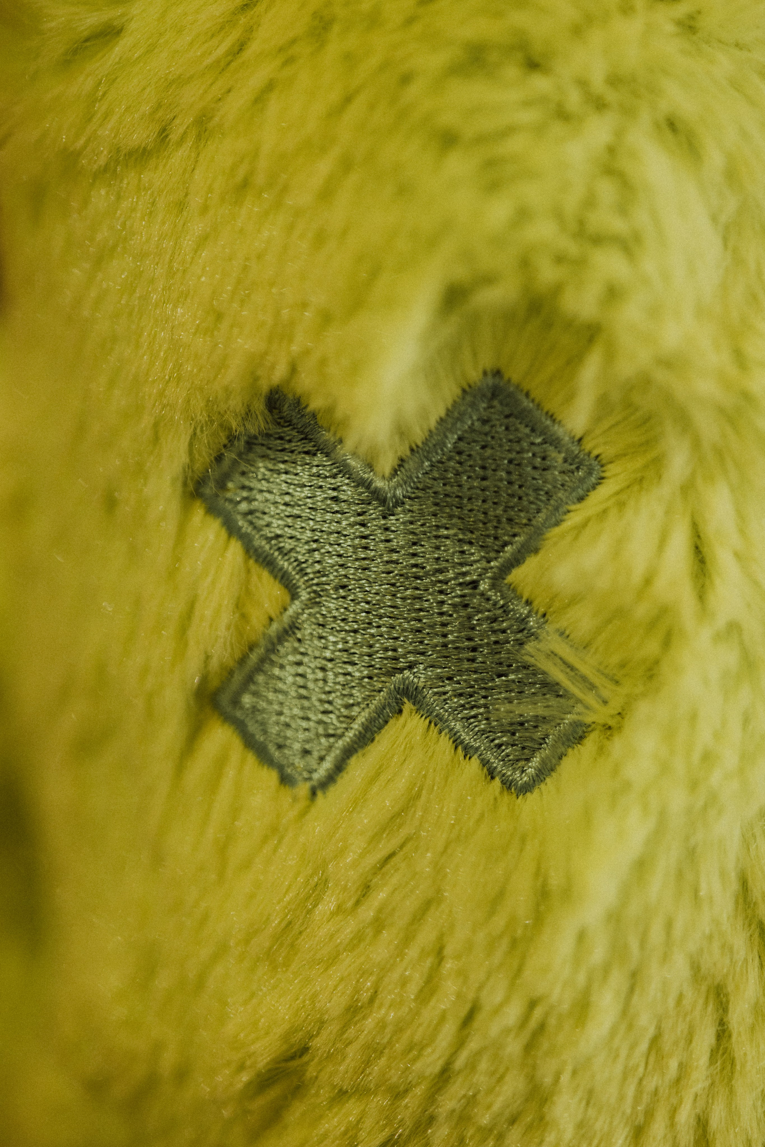 CBcon. Фотограф анималист в Москве Майорова Евгения