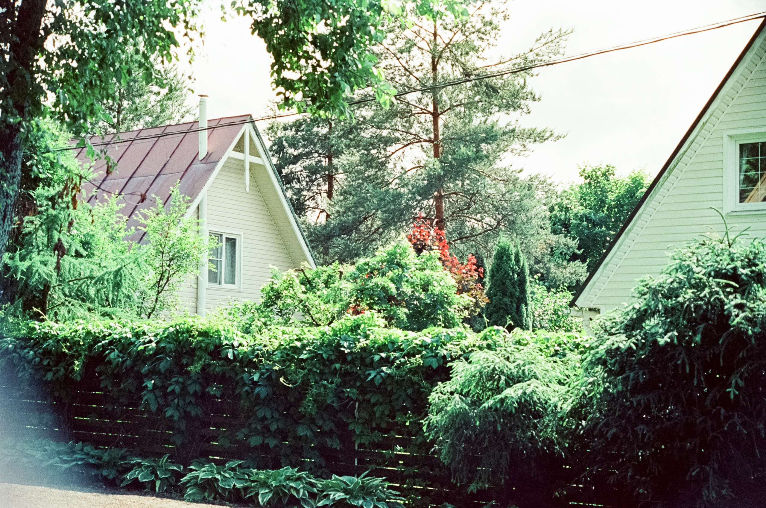 Kodak Vision 3 500T примеры фотографий