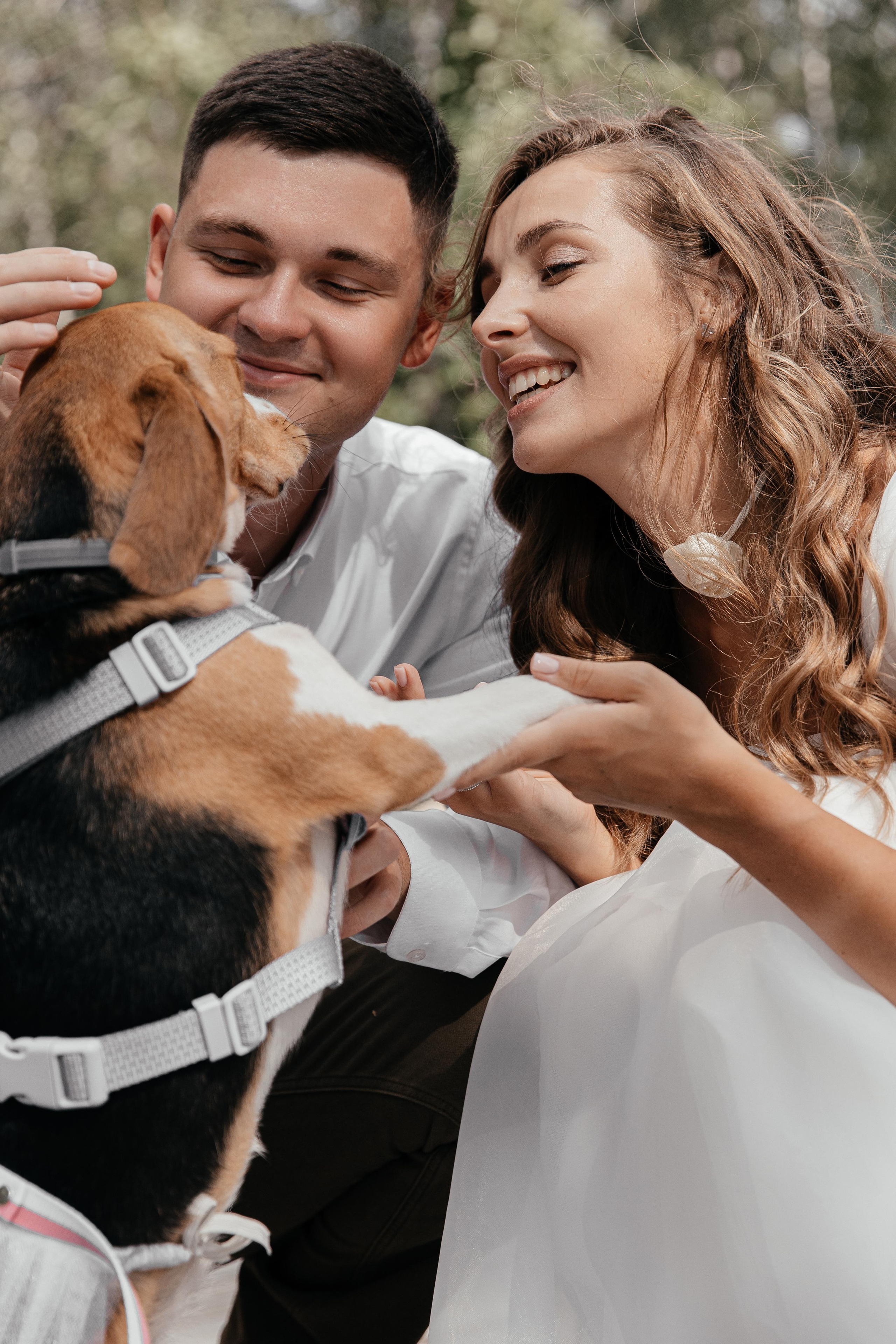 Свадьба с собакой 