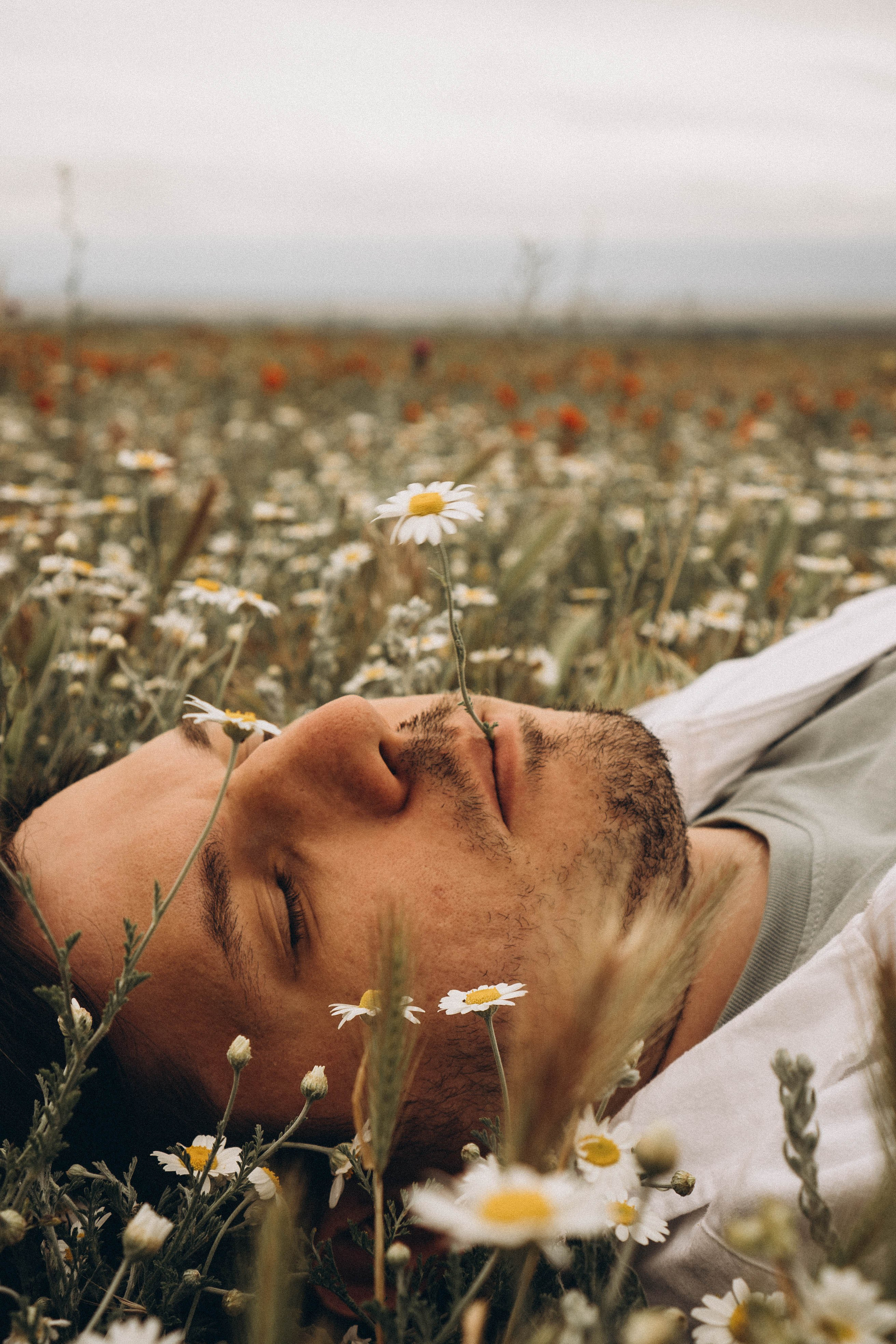 Маки. Профессиональный фотограф, Санкт-Петербург — Виктория Богомолова