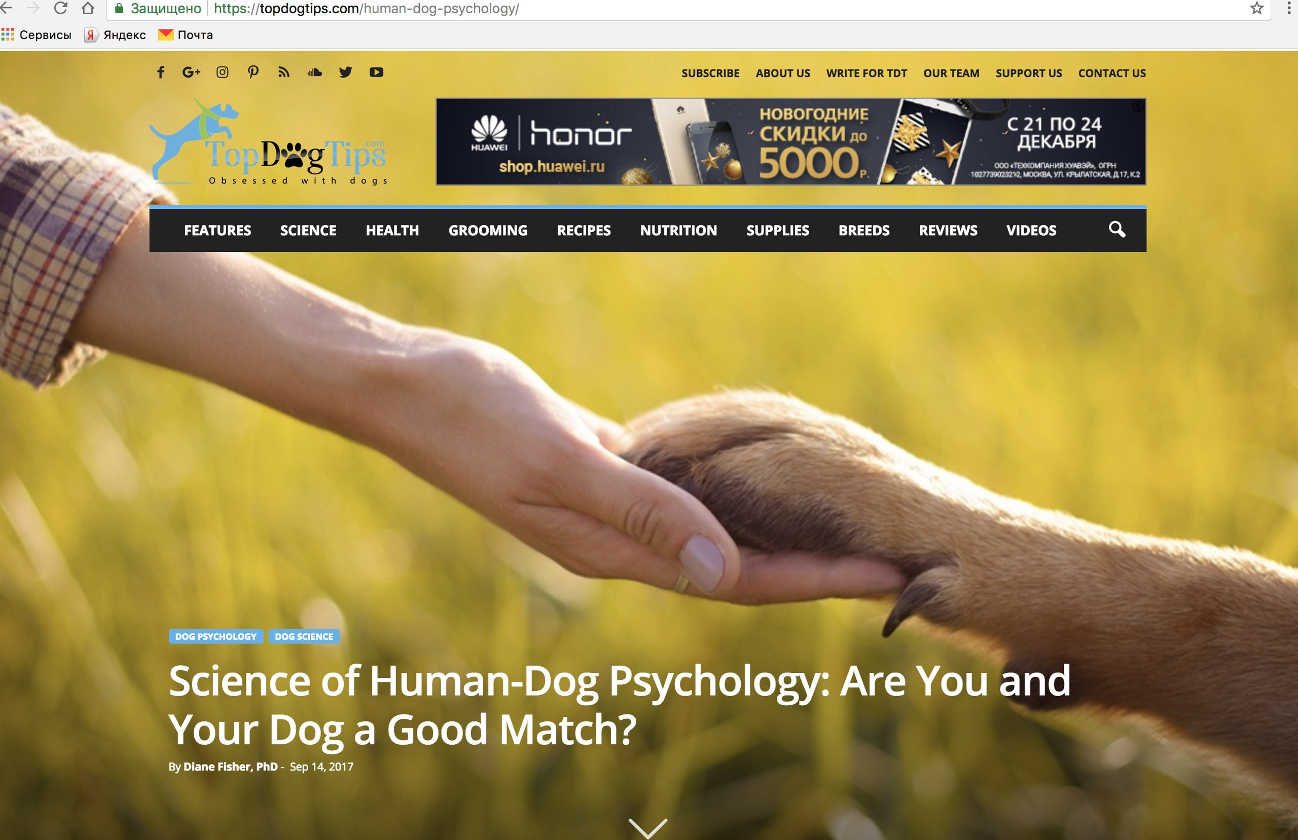 О фотографе TitAnya. Фотограф собак, фотограф-анималист Аня Титова (Titanya). Москва