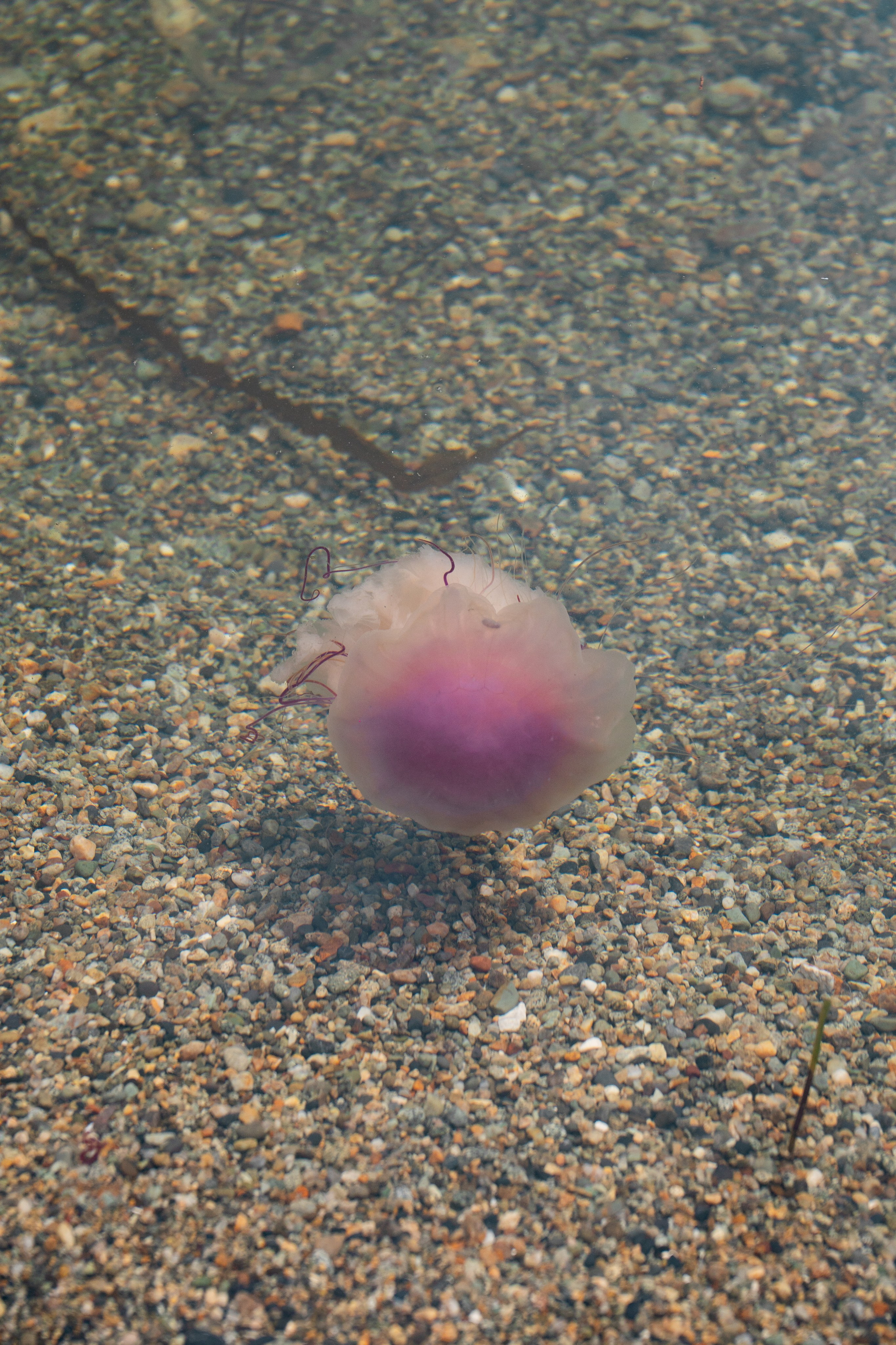 Сахалин. Gusarov Travel Photography