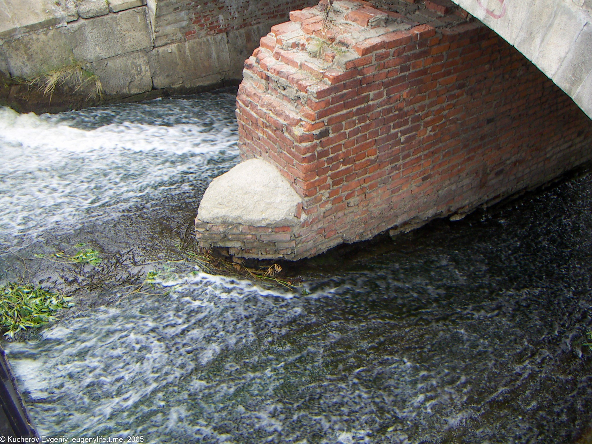 Август 2005. Царицыно. Кучеров Евгений. Фотограф